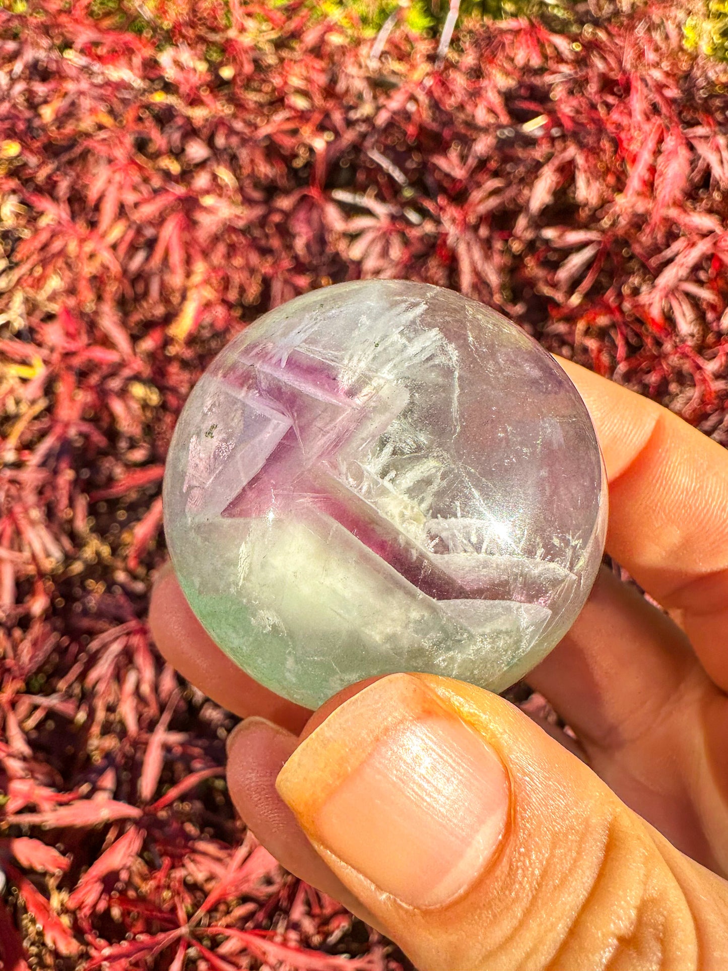 Stunning Rainbow Snowflake Fluorite Sphere
