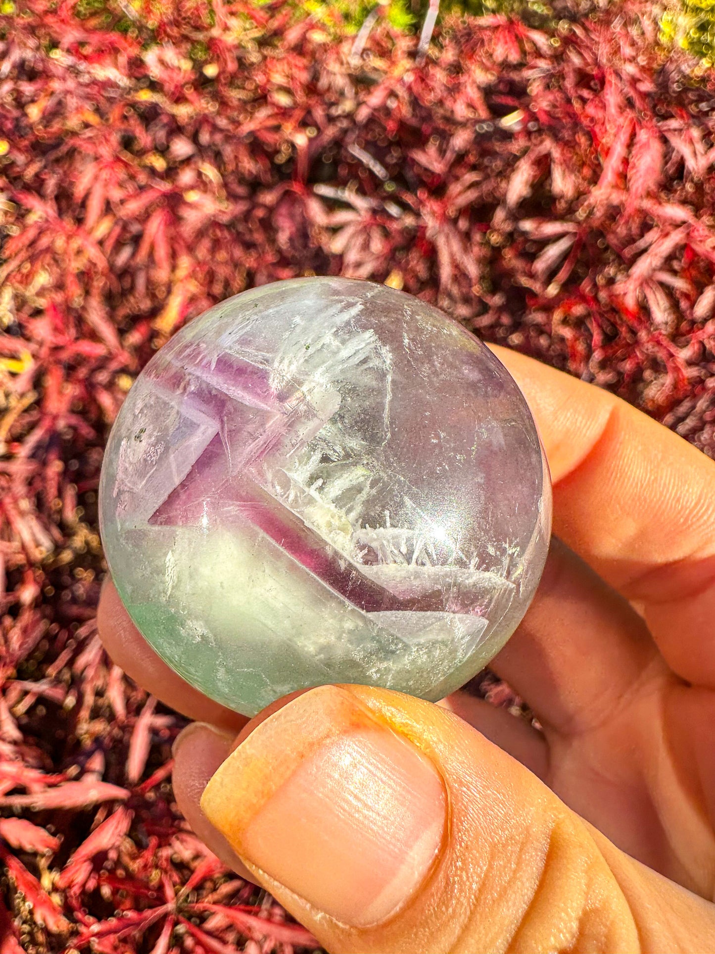 Stunning Rainbow Snowflake Fluorite Sphere