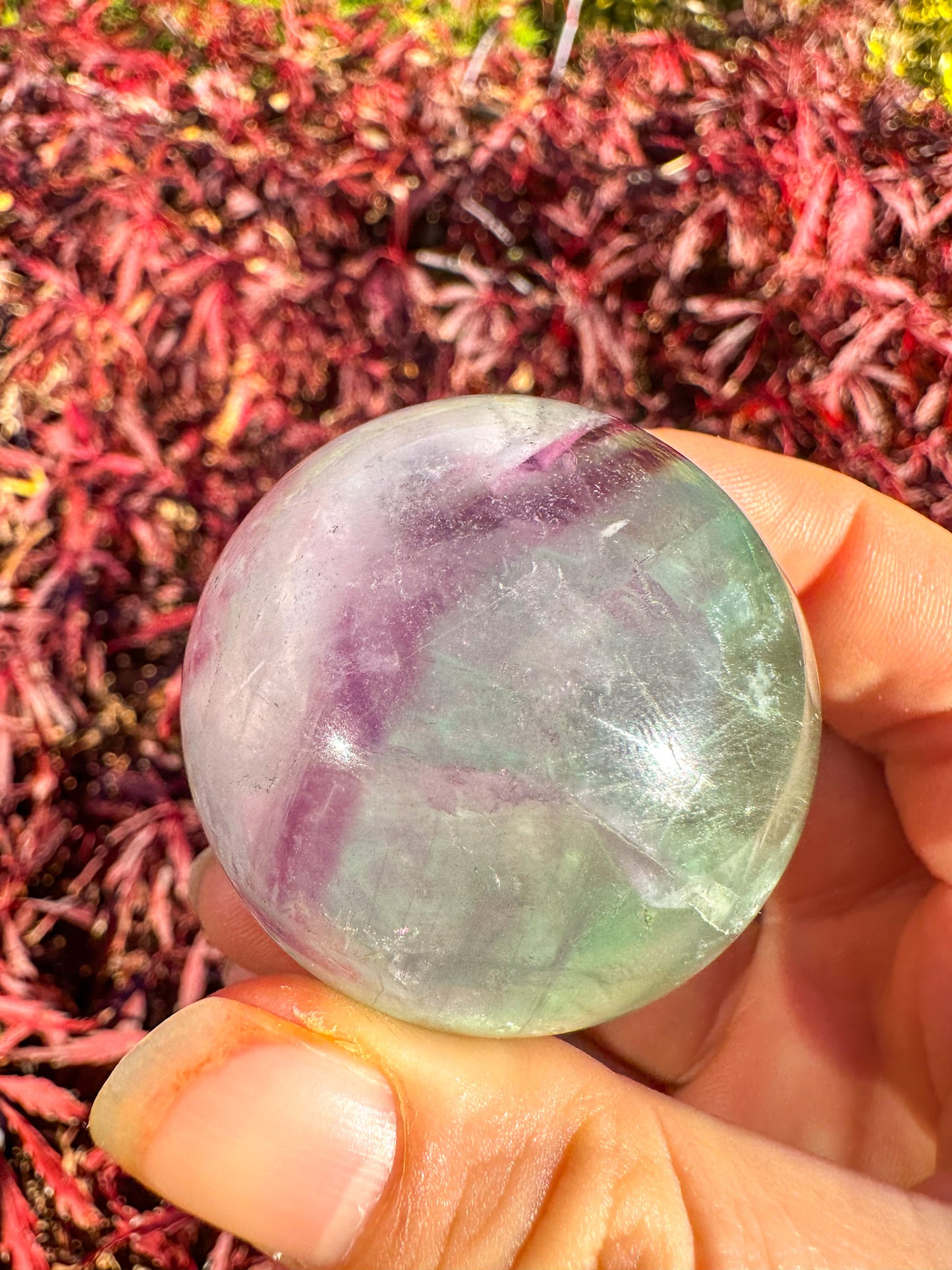 Stunning Rainbow Snowflake Fluorite Sphere