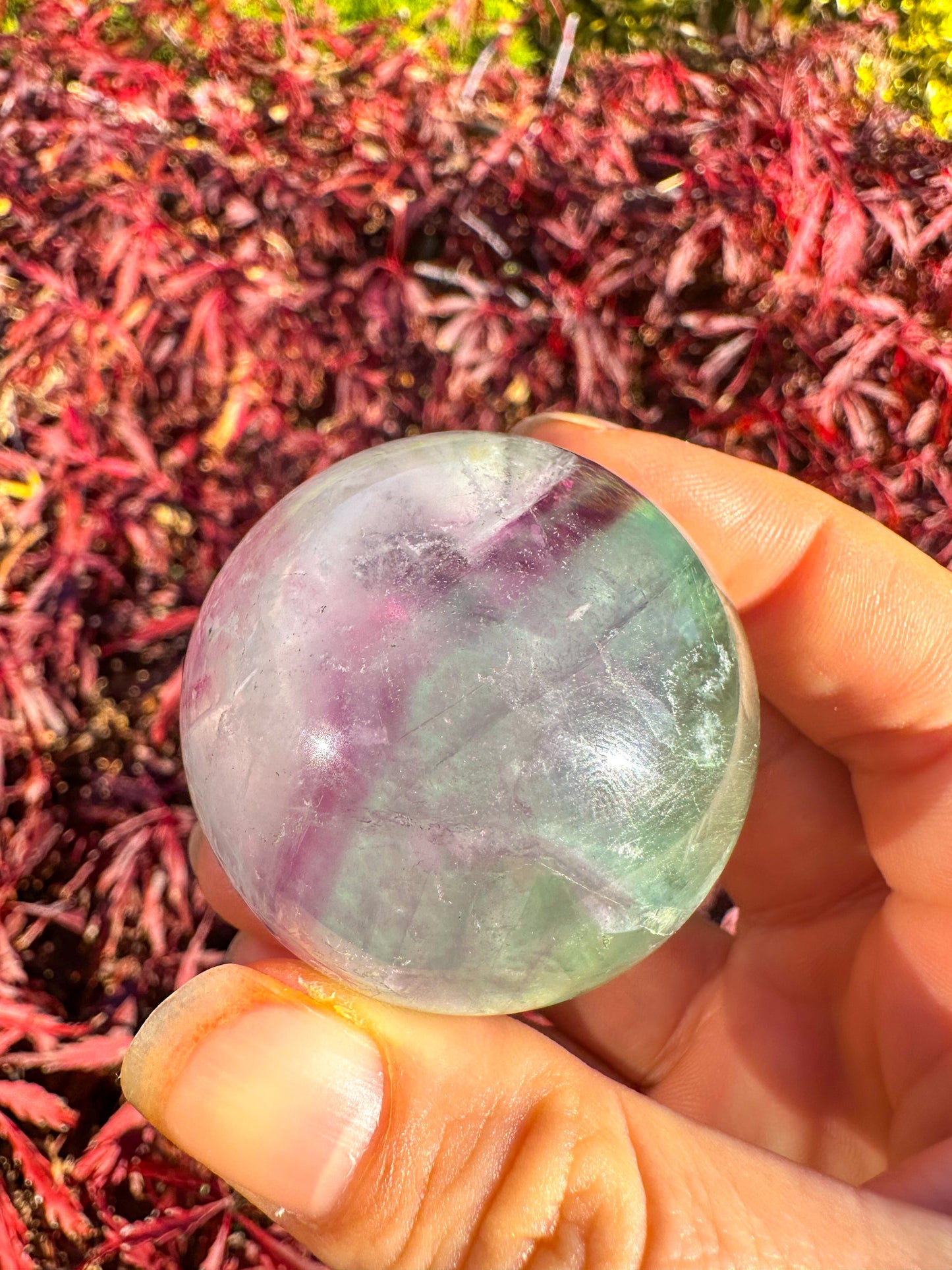 Stunning Rainbow Snowflake Fluorite Sphere