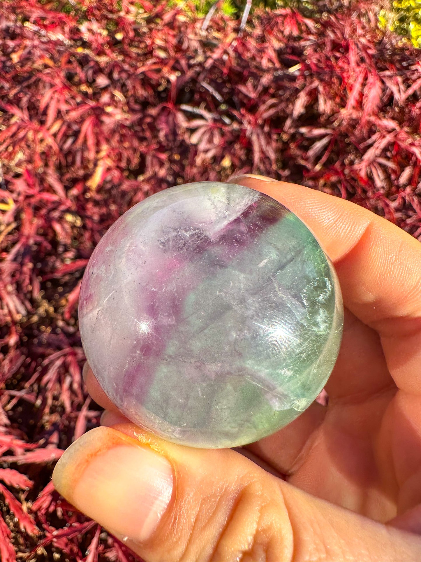 Stunning Rainbow Snowflake Fluorite Sphere