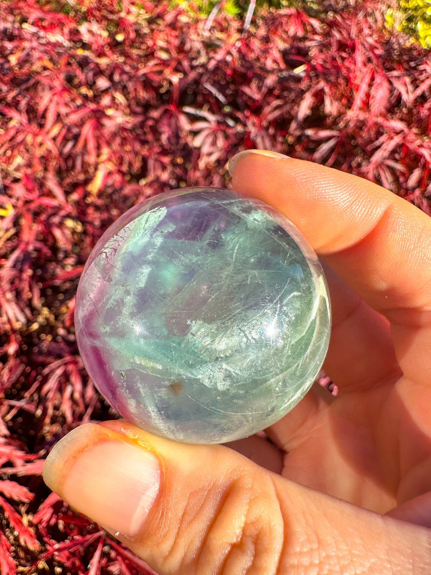 Stunning Rainbow Snowflake Fluorite Sphere