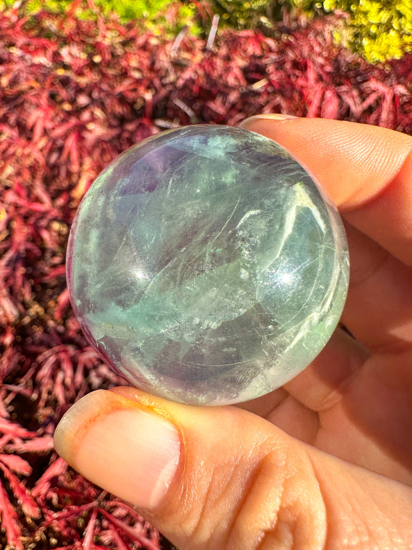 Stunning Rainbow Snowflake Fluorite Sphere