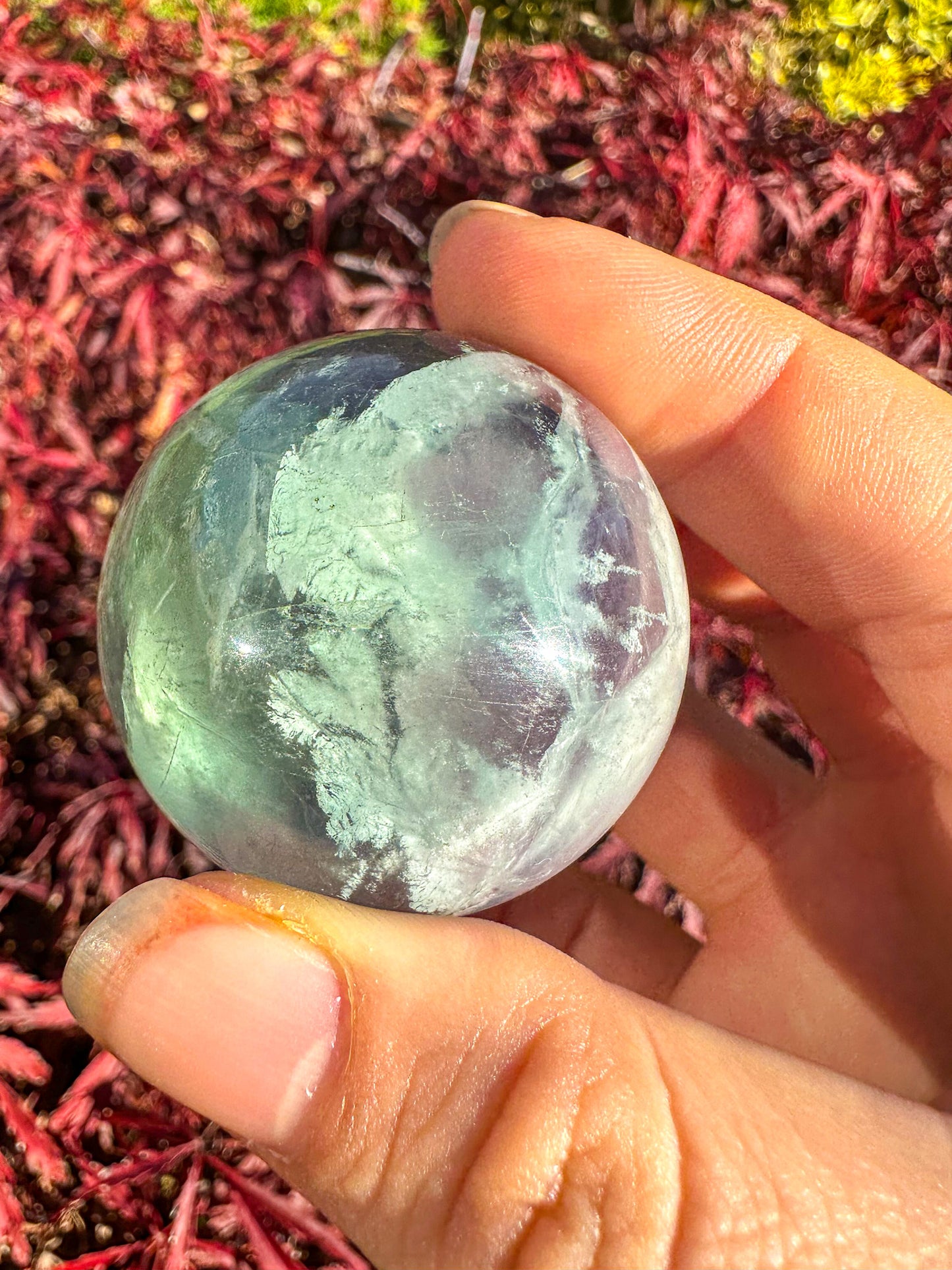 Stunning Rainbow Snowflake Fluorite Sphere