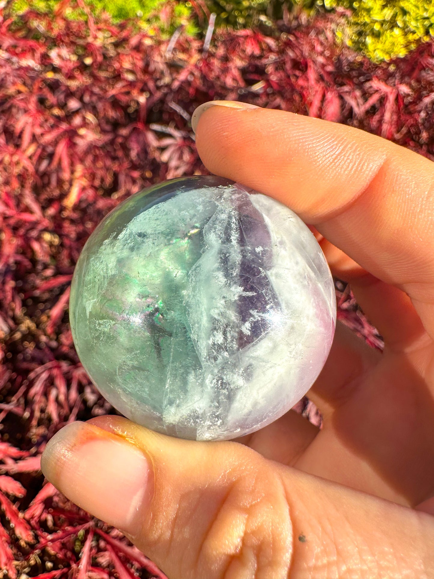 Stunning Rainbow Snowflake Fluorite Sphere