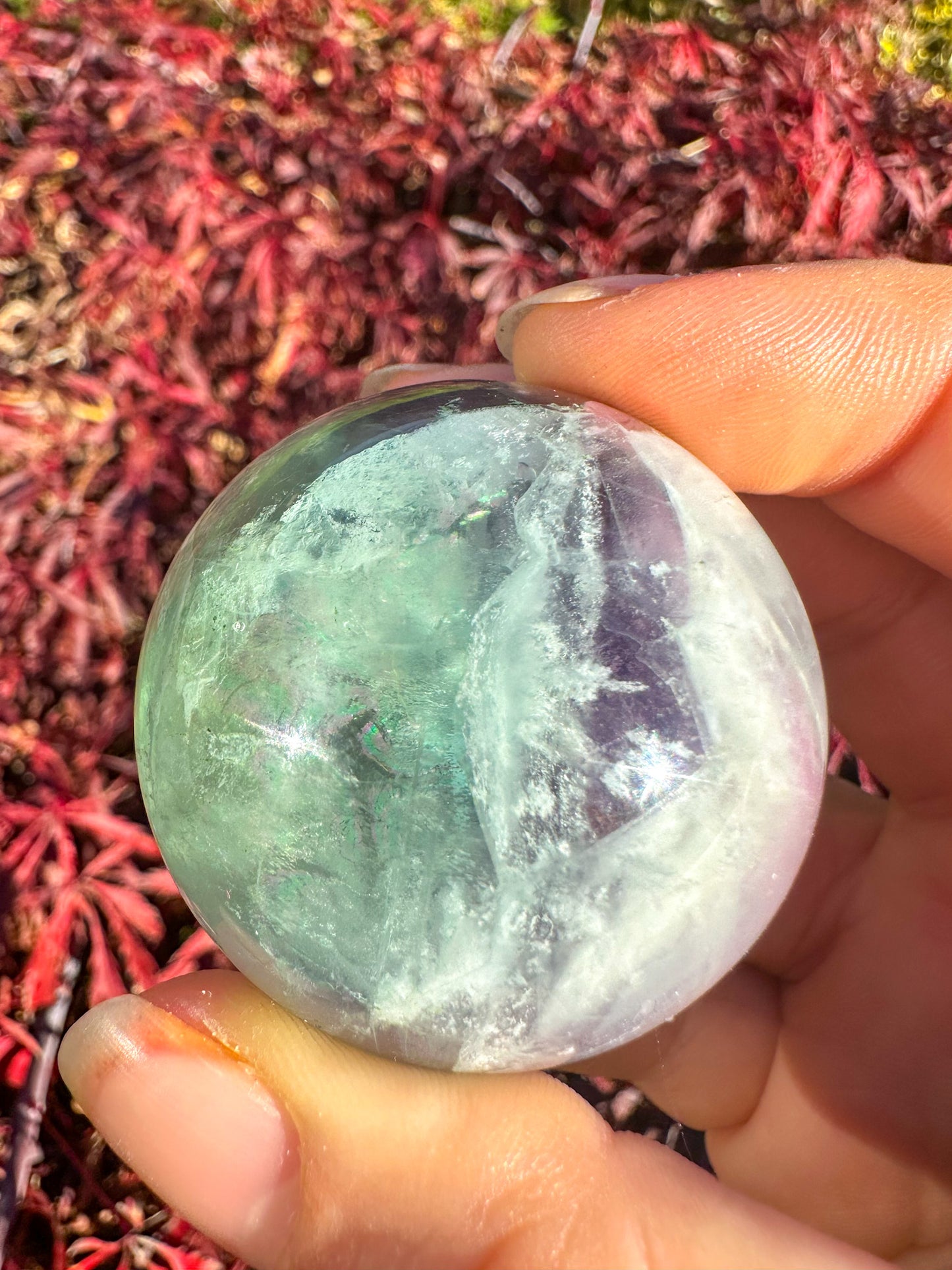Stunning Rainbow Snowflake Fluorite Sphere