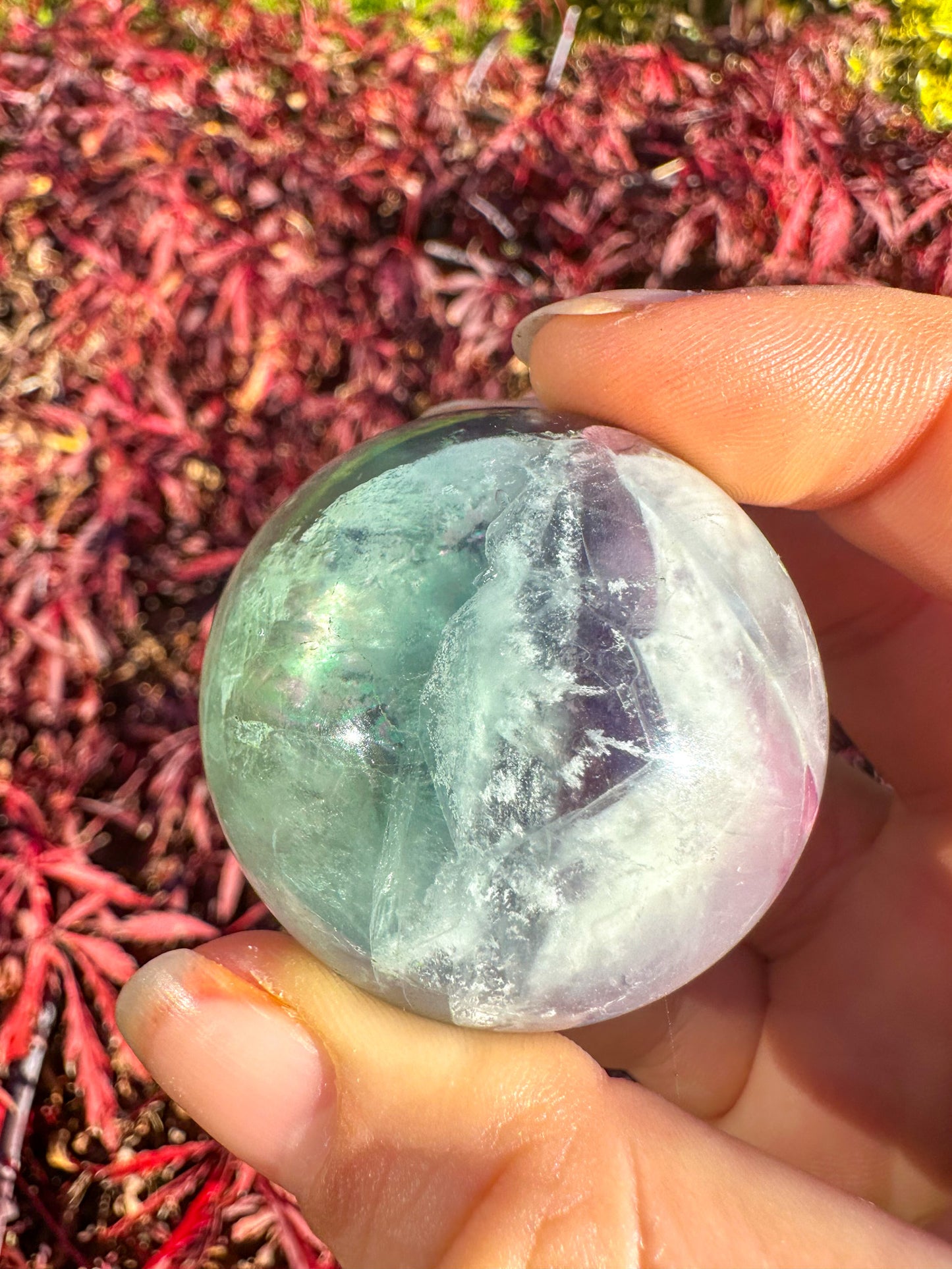 Stunning Rainbow Snowflake Fluorite Sphere