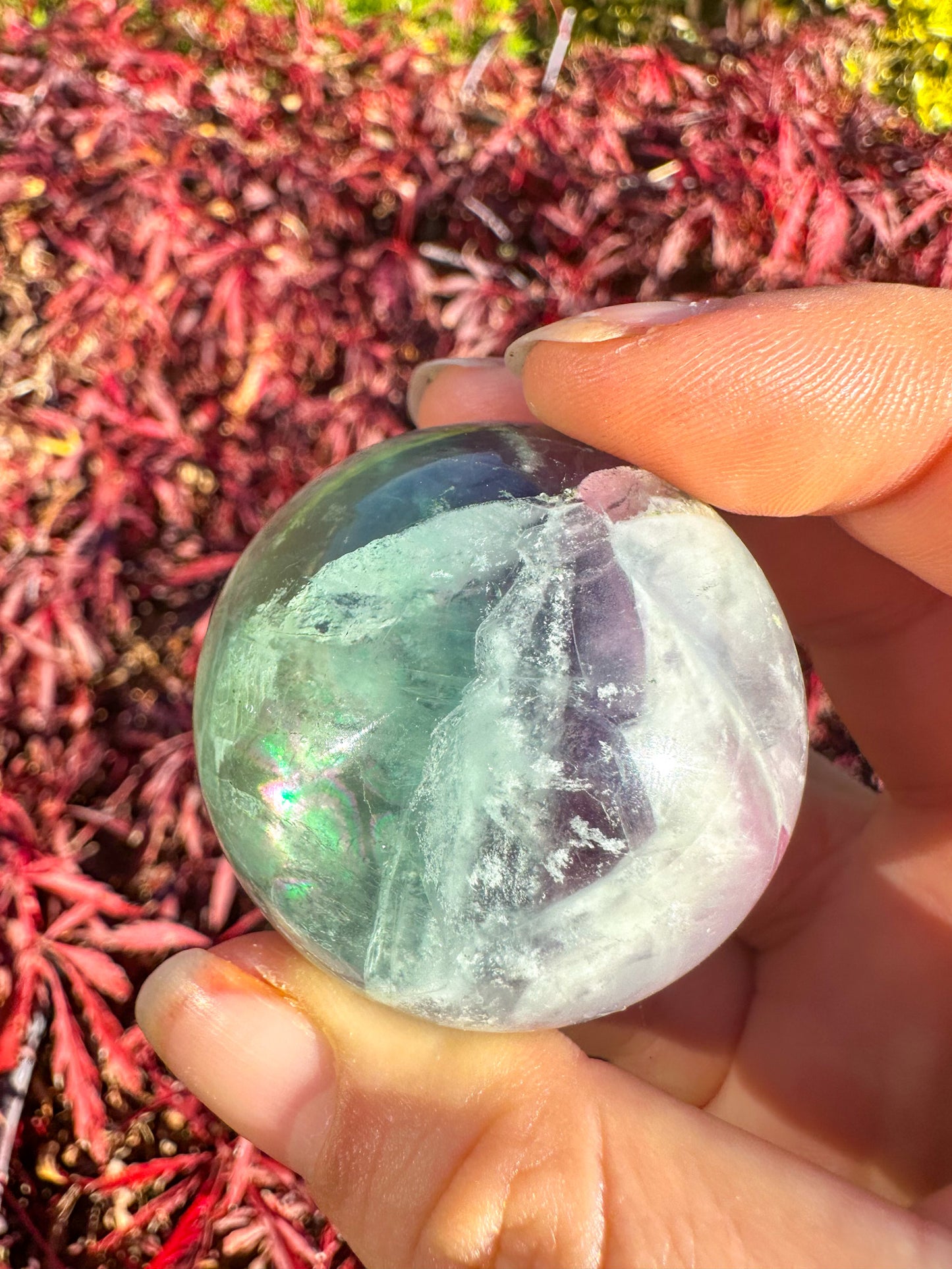 Stunning Rainbow Snowflake Fluorite Sphere