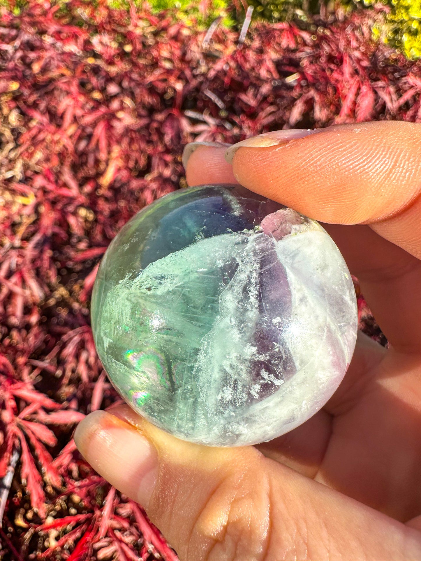 Stunning Rainbow Snowflake Fluorite Sphere
