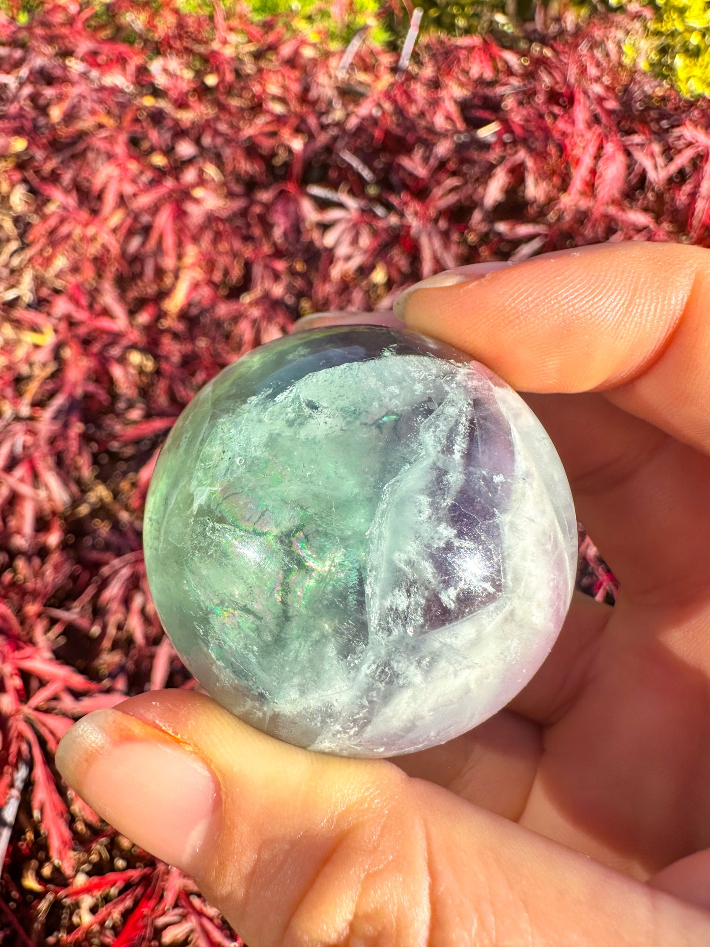 Stunning Rainbow Snowflake Fluorite Sphere