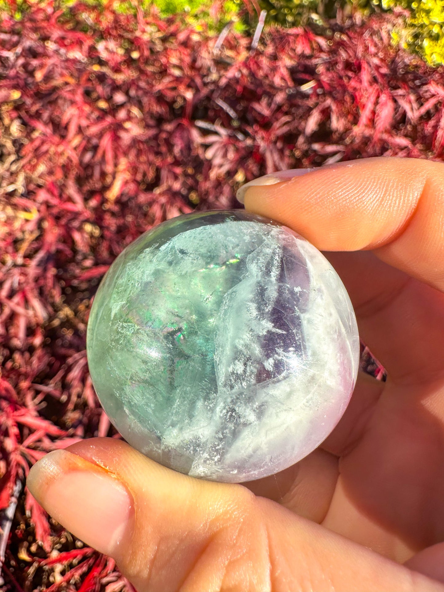 Stunning Rainbow Snowflake Fluorite Sphere
