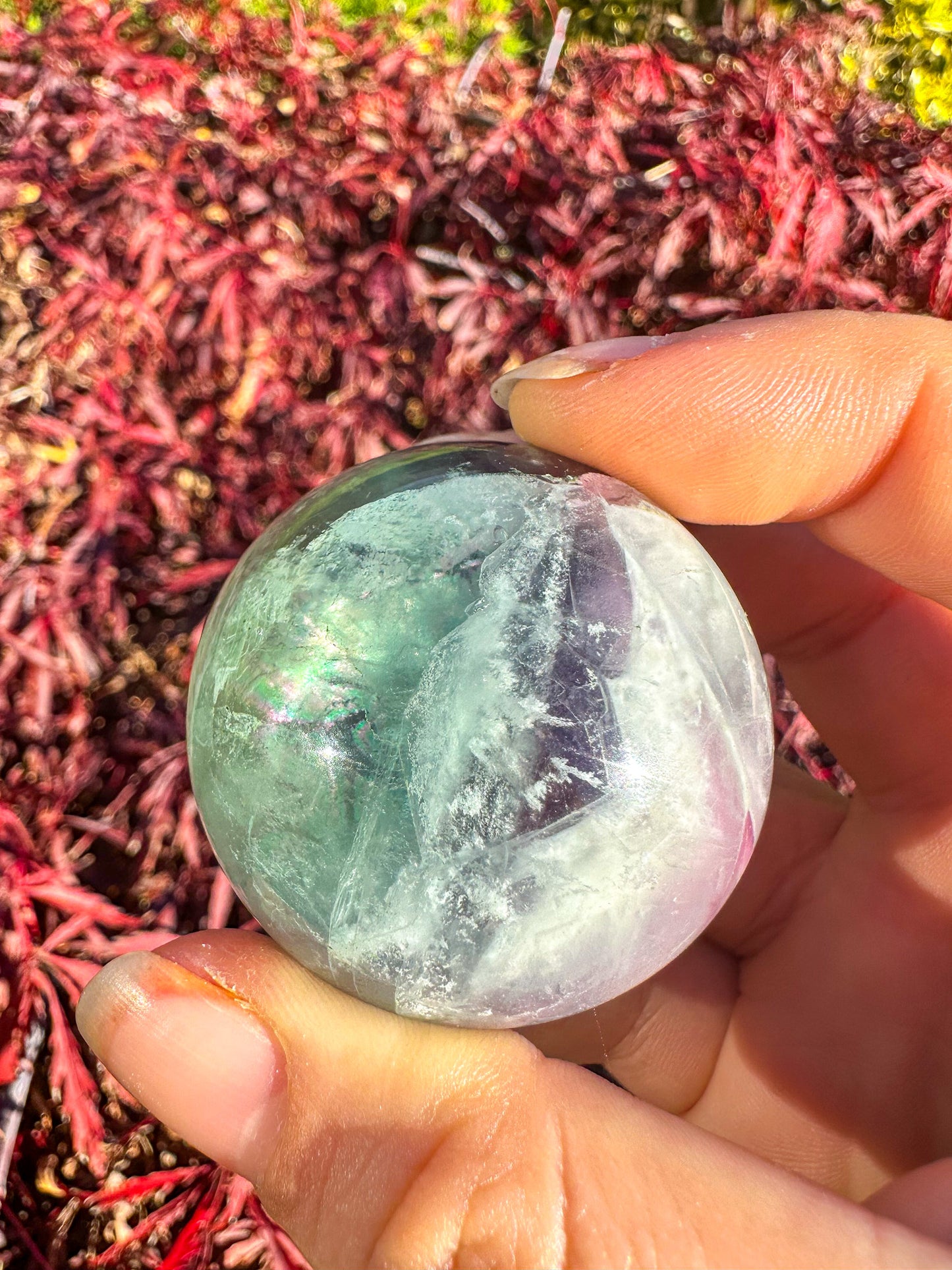 Stunning Rainbow Snowflake Fluorite Sphere