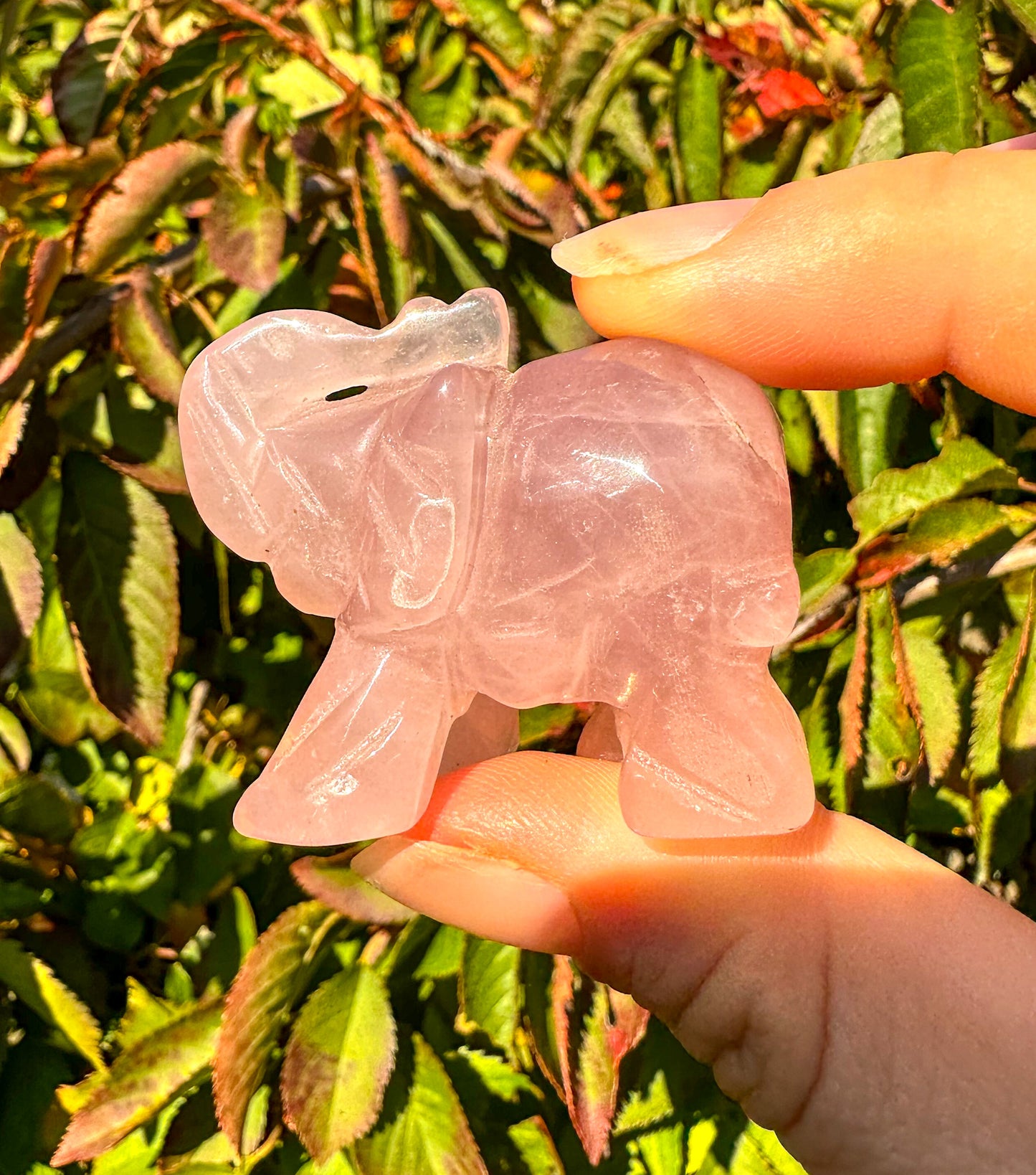 Adorable Pink Rose Quartz Elephant Carving