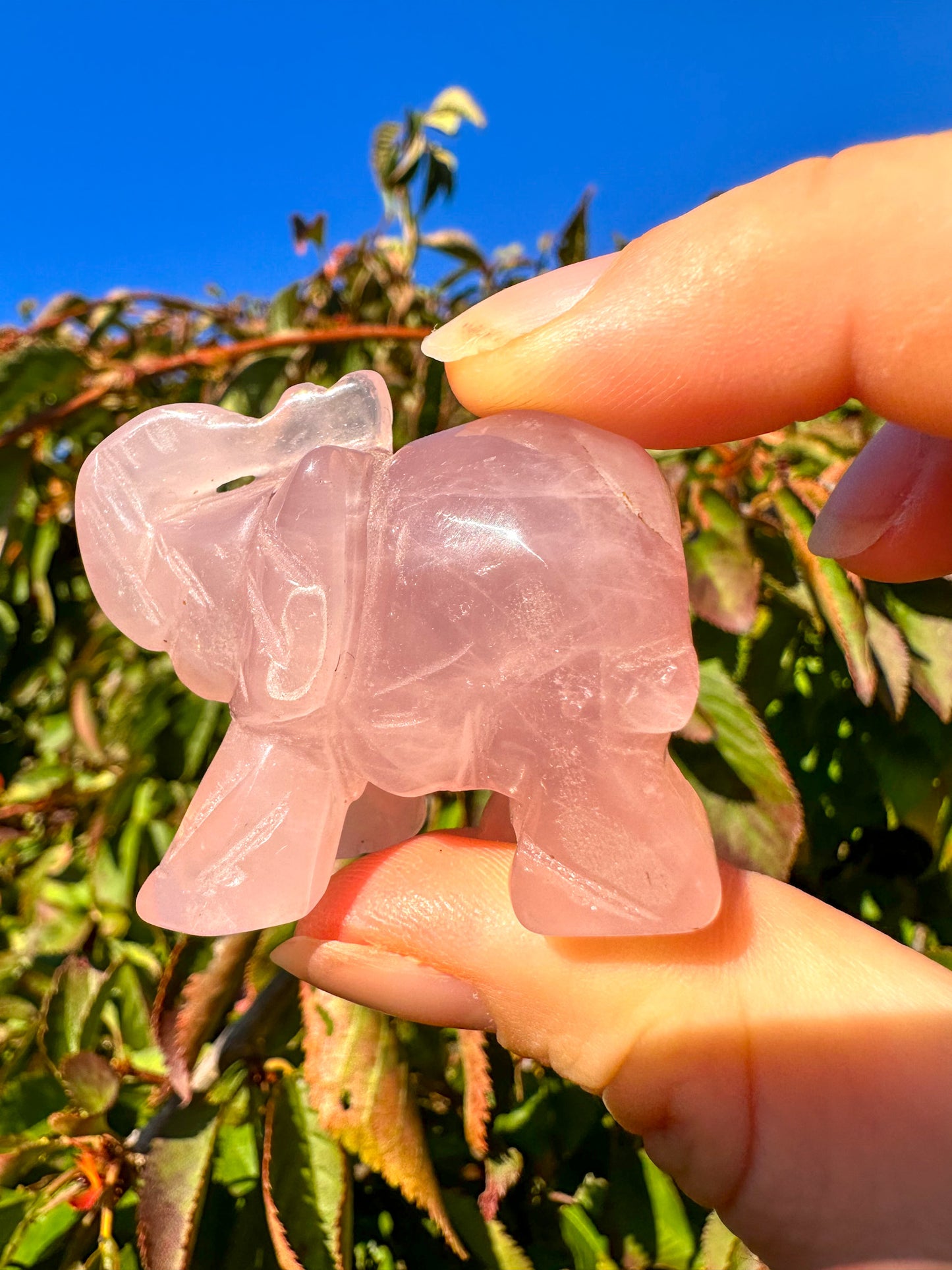 Adorable Pink Rose Quartz Elephant Carving