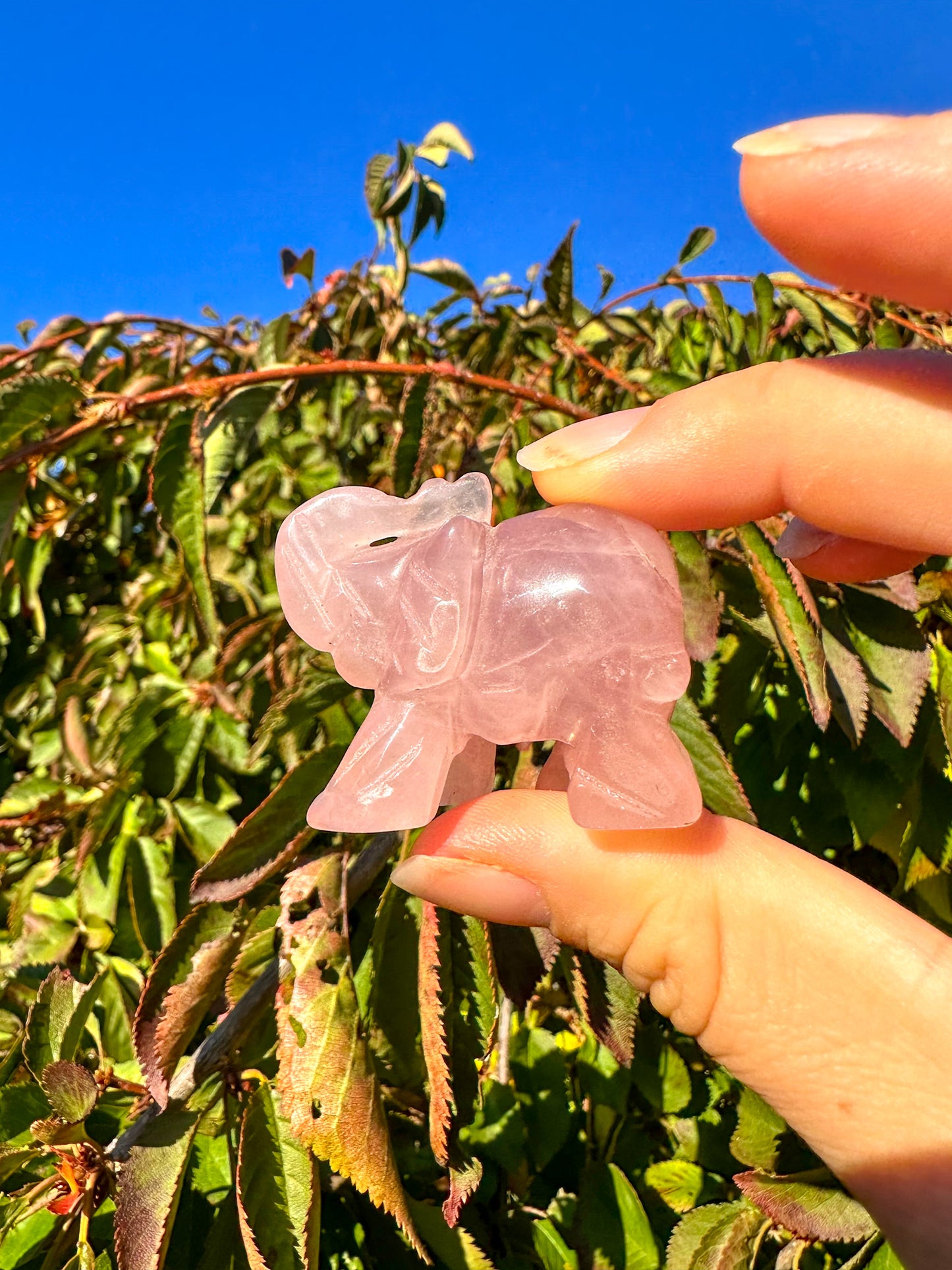 Adorable Pink Rose Quartz Elephant Carving