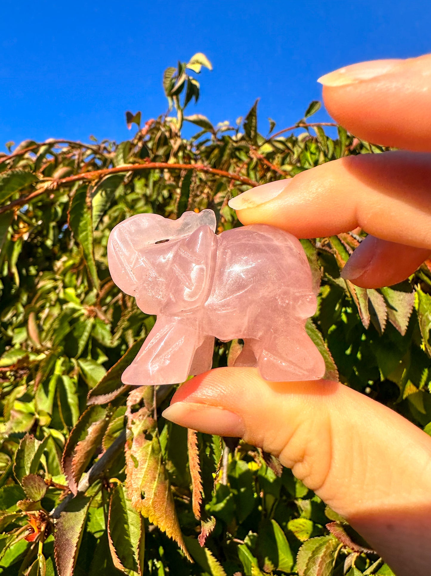 Adorable Pink Rose Quartz Elephant Carving