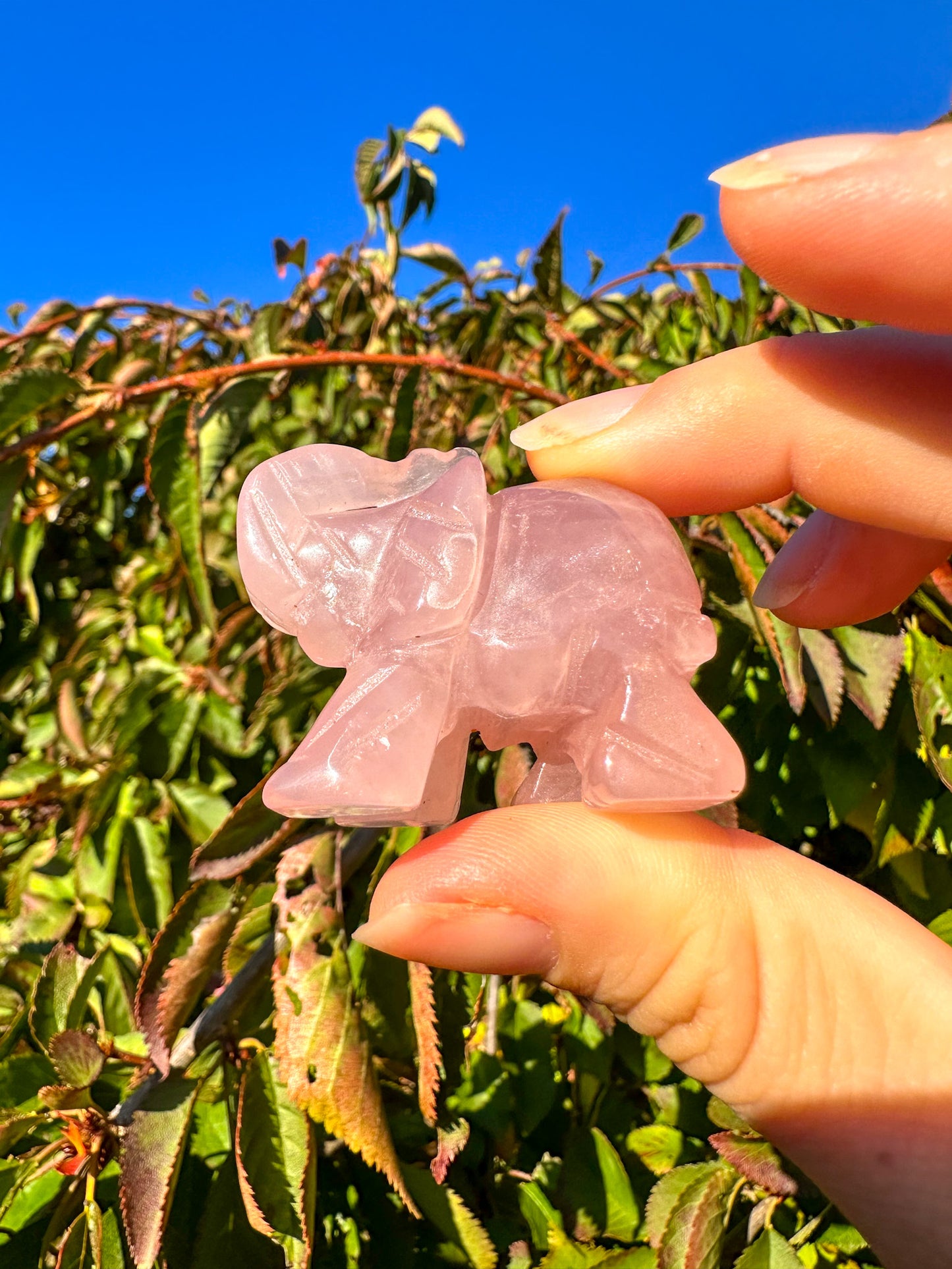 Adorable Pink Rose Quartz Elephant Carving
