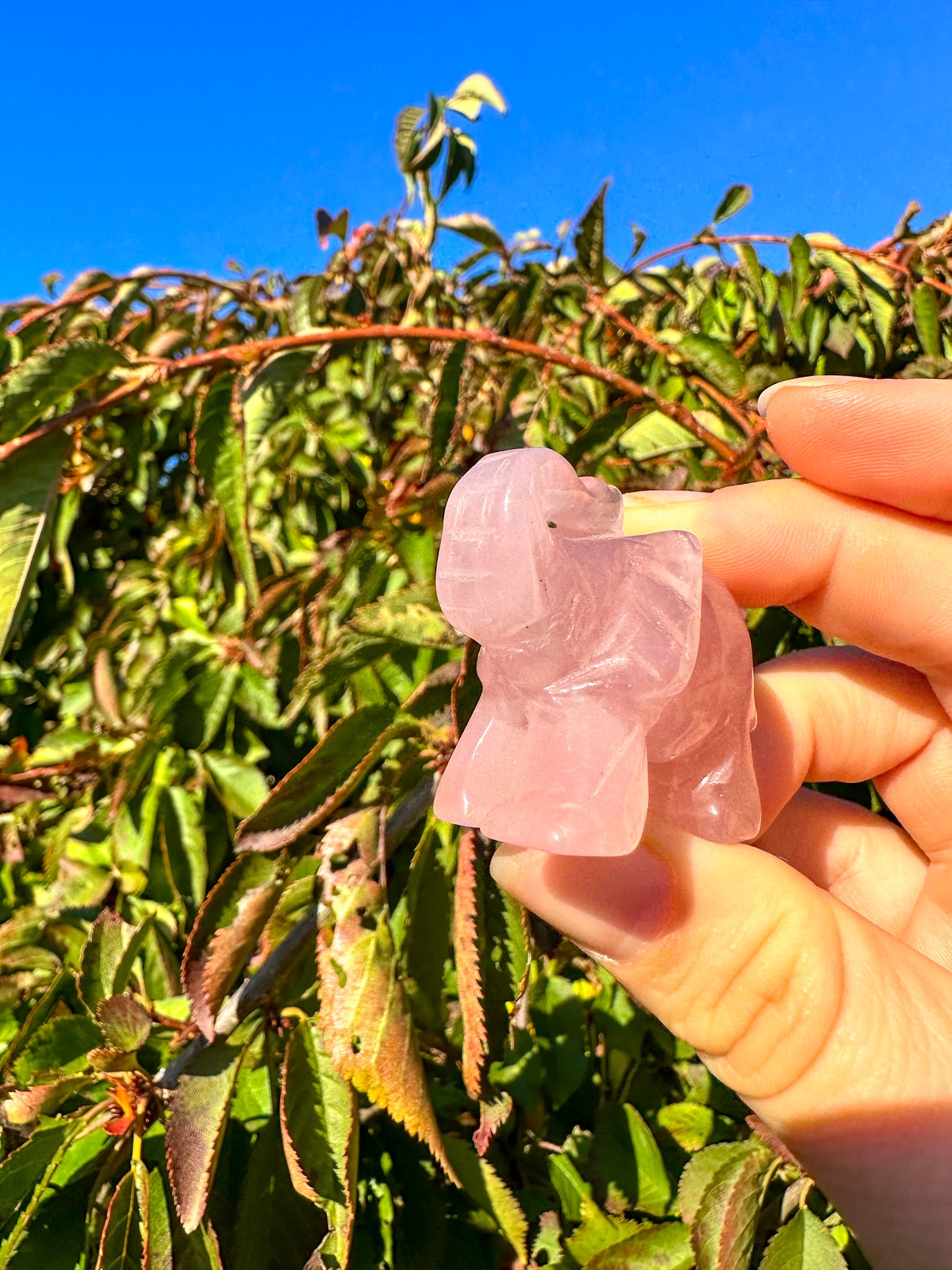 Adorable Pink Rose Quartz Elephant Carving