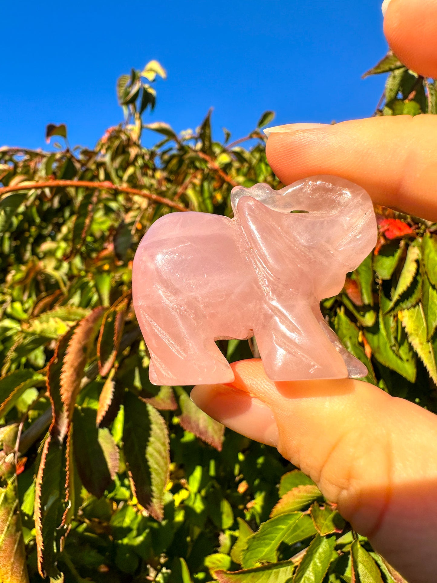 Adorable Pink Rose Quartz Elephant Carving