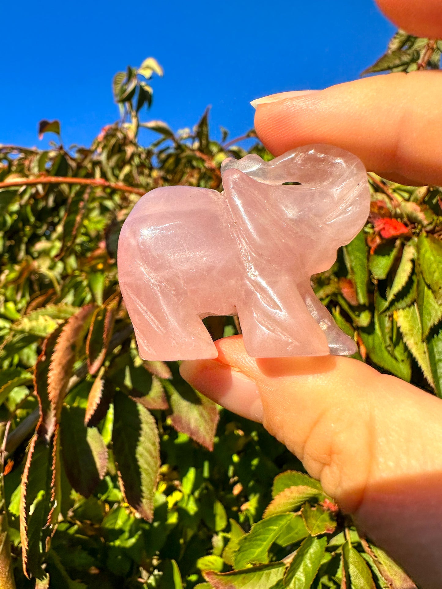 Adorable Pink Rose Quartz Elephant Carving