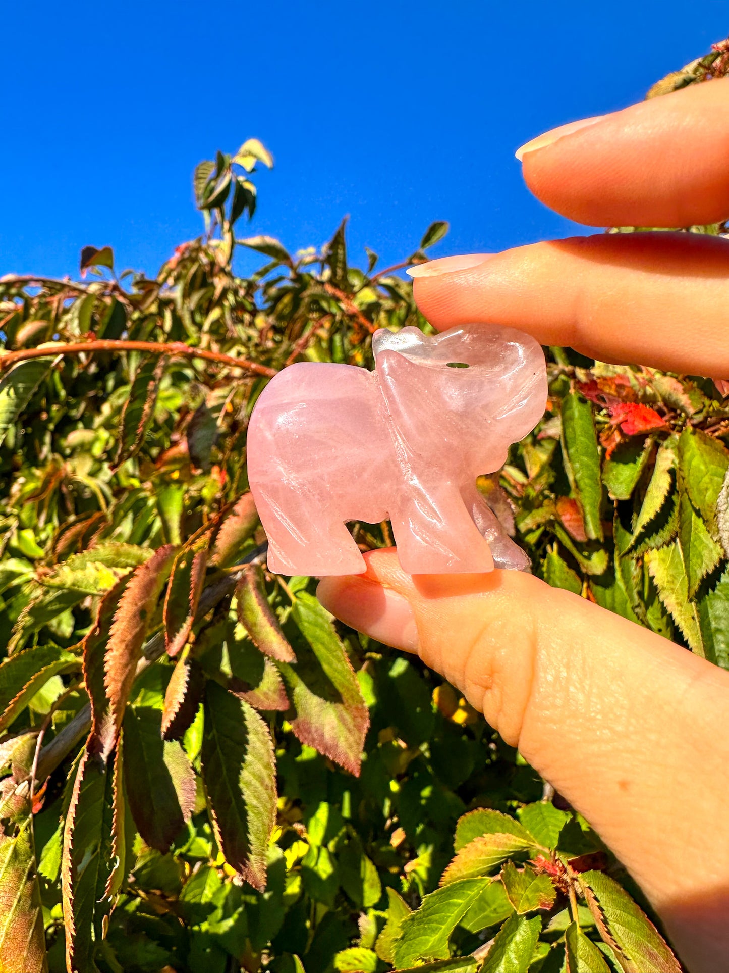 Adorable Pink Rose Quartz Elephant Carving