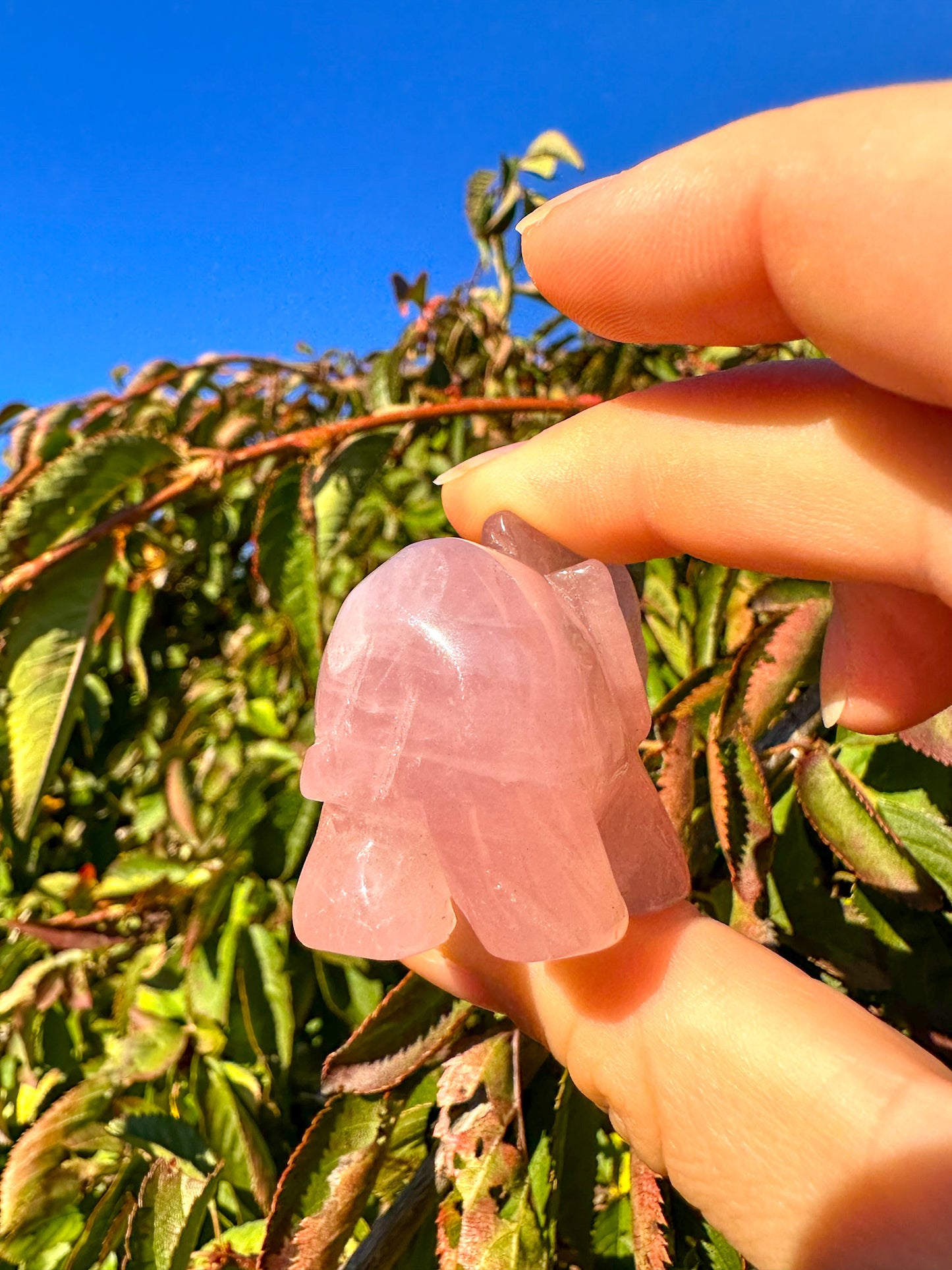 Adorable Pink Rose Quartz Elephant Carving