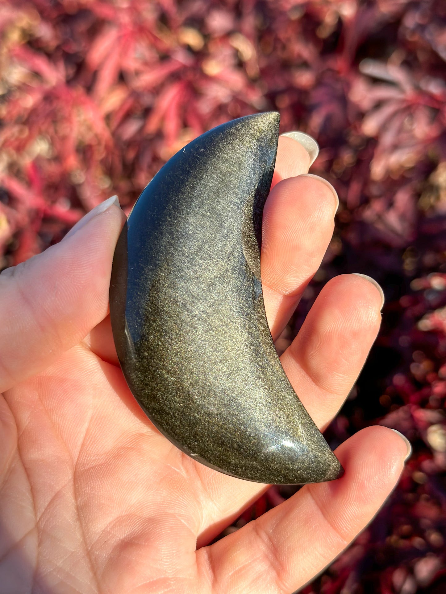 Flashy Gold Sheen Obsidian Moon