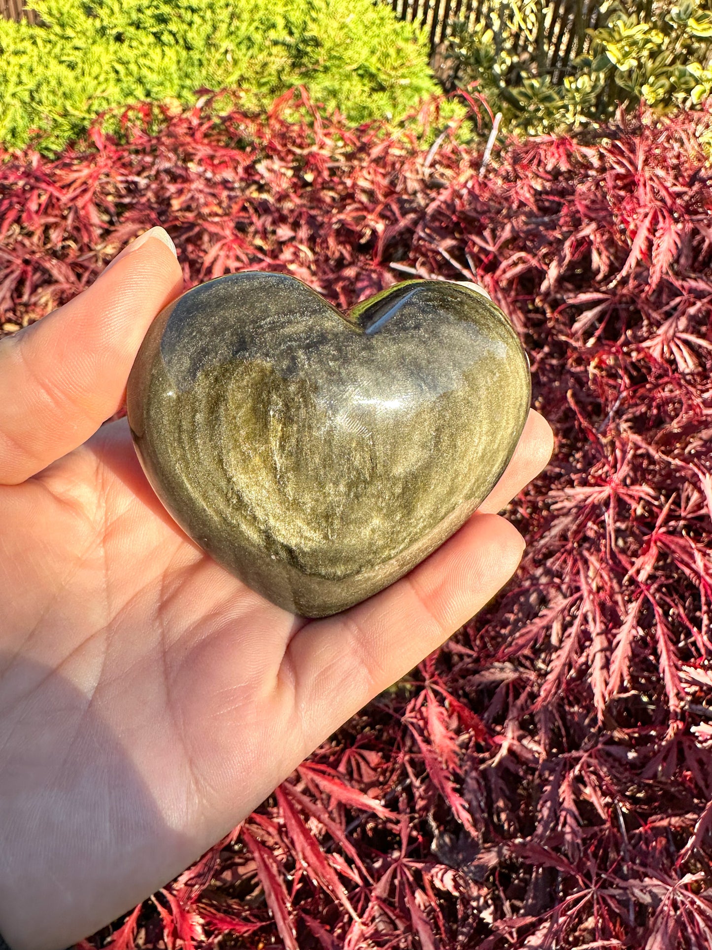 Flashy Gold Sheen Obsidian Large Heart