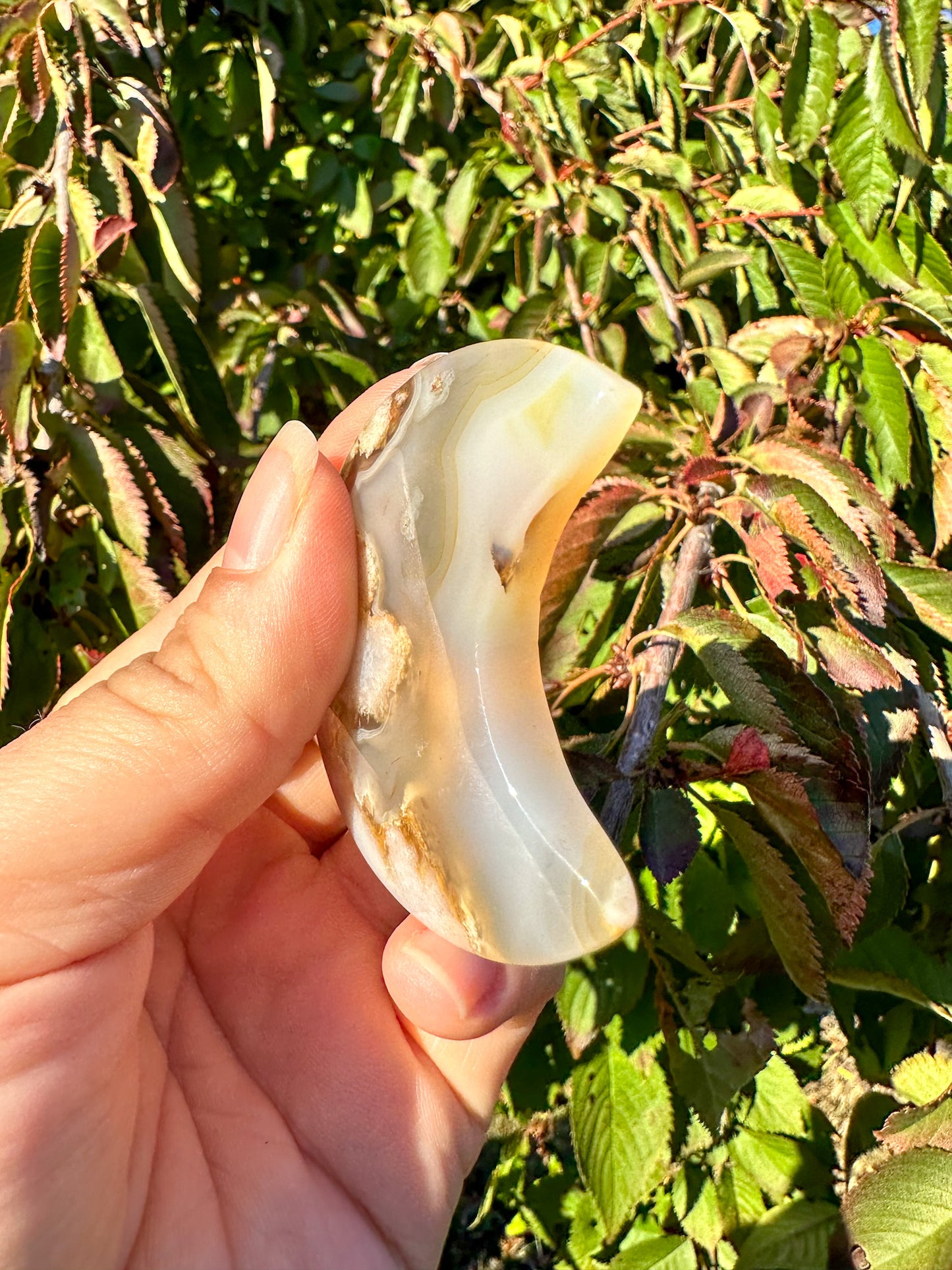 Stunning Flower Agate Moon Carving