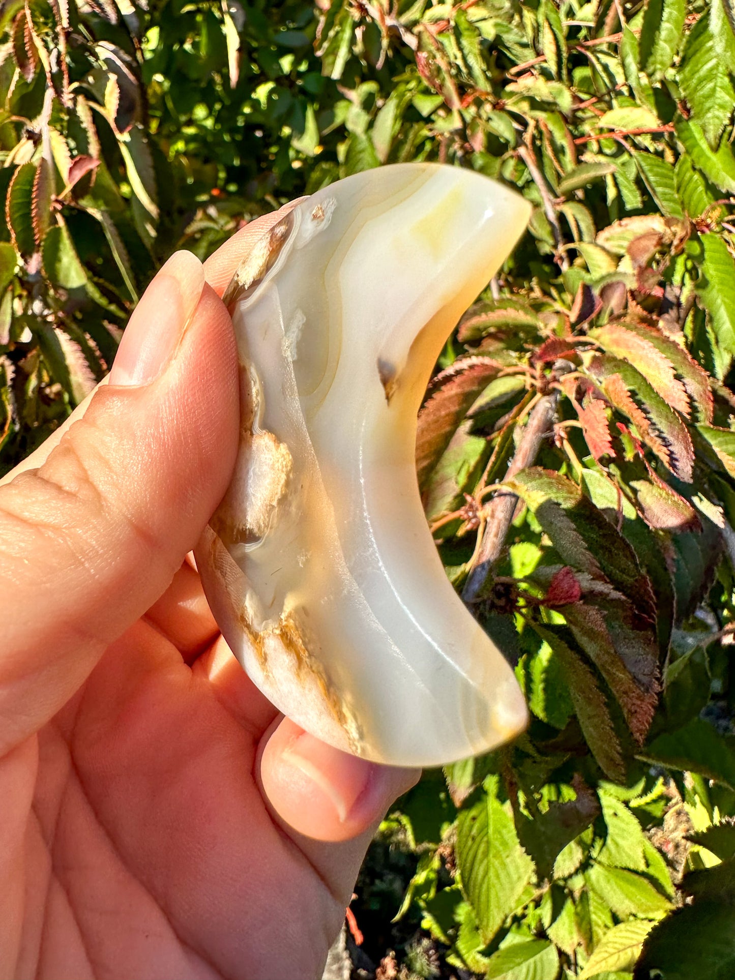 Stunning Flower Agate Moon Carving