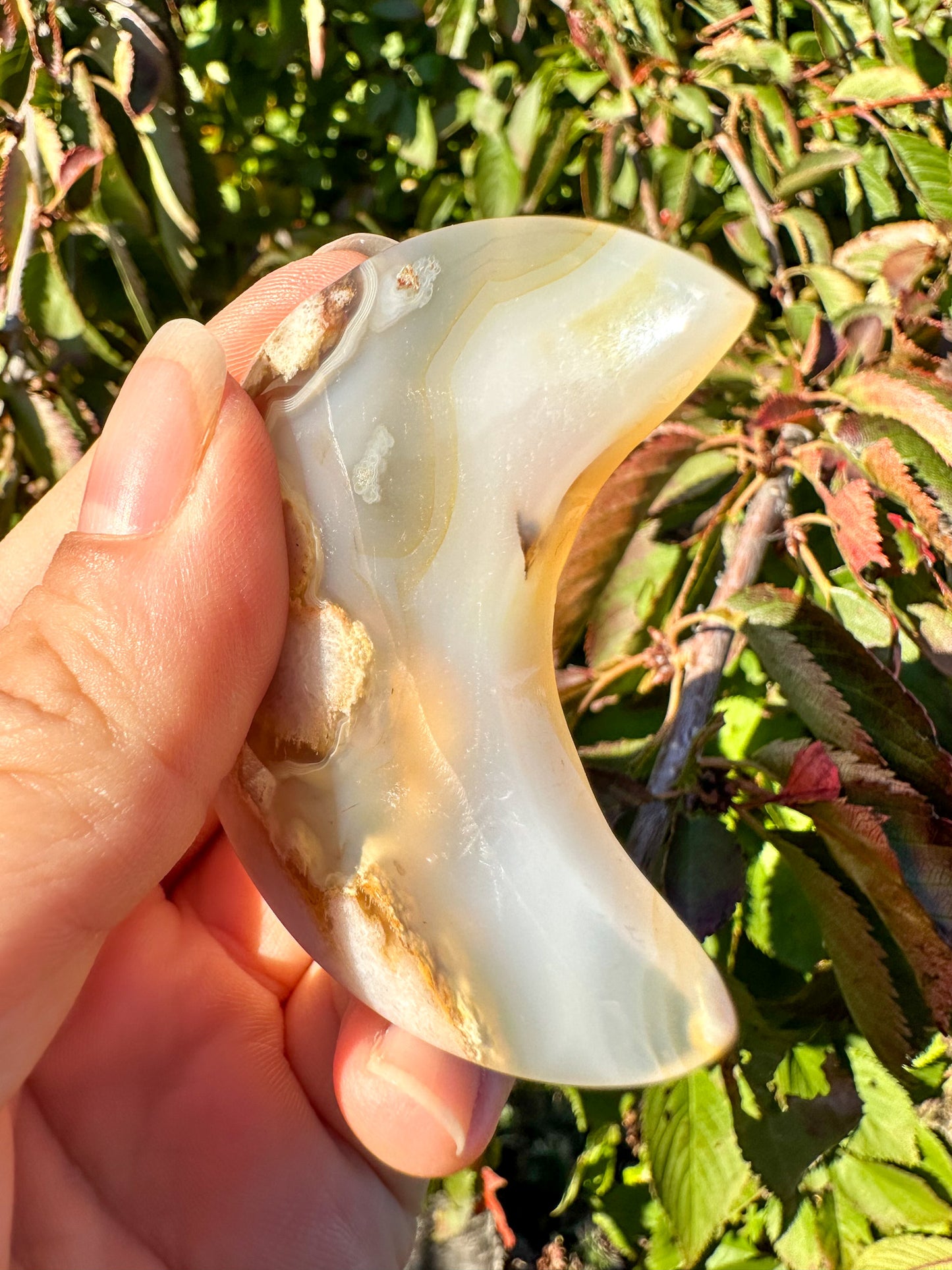 Stunning Flower Agate Moon Carving