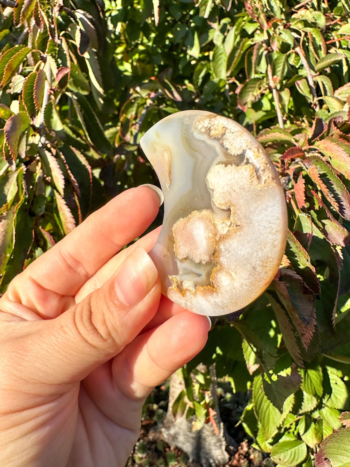 Stunning Flower Agate Moon Carving