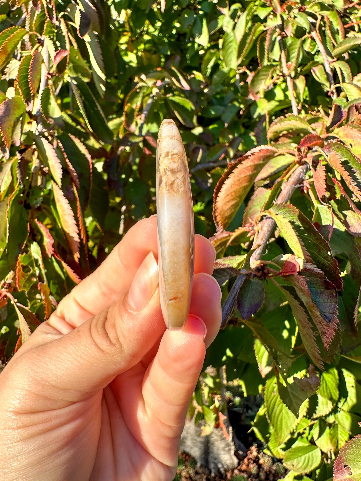 Stunning Flower Agate Moon Carving
