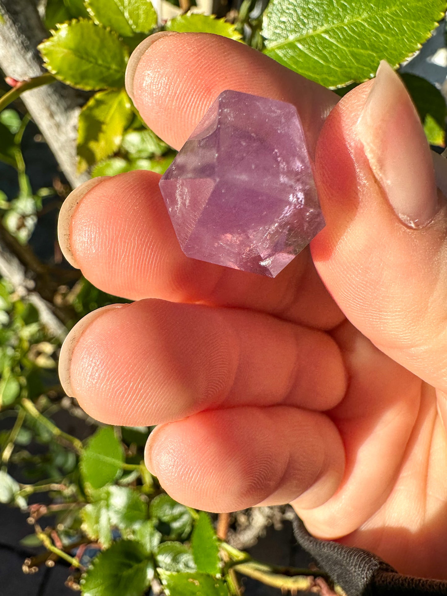 Purple Amethyst Double Terminated Point