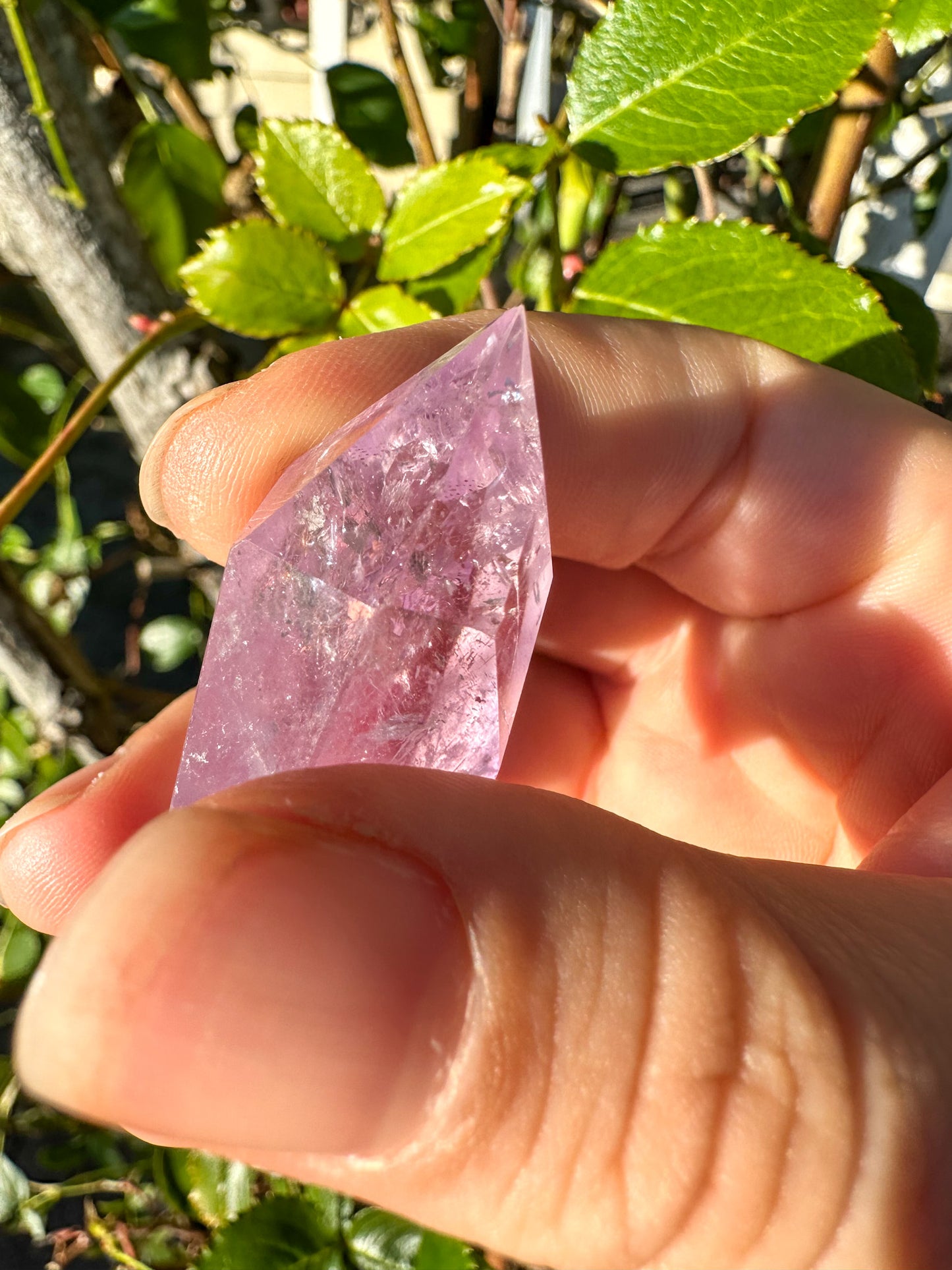 Purple Amethyst Double Terminated Point