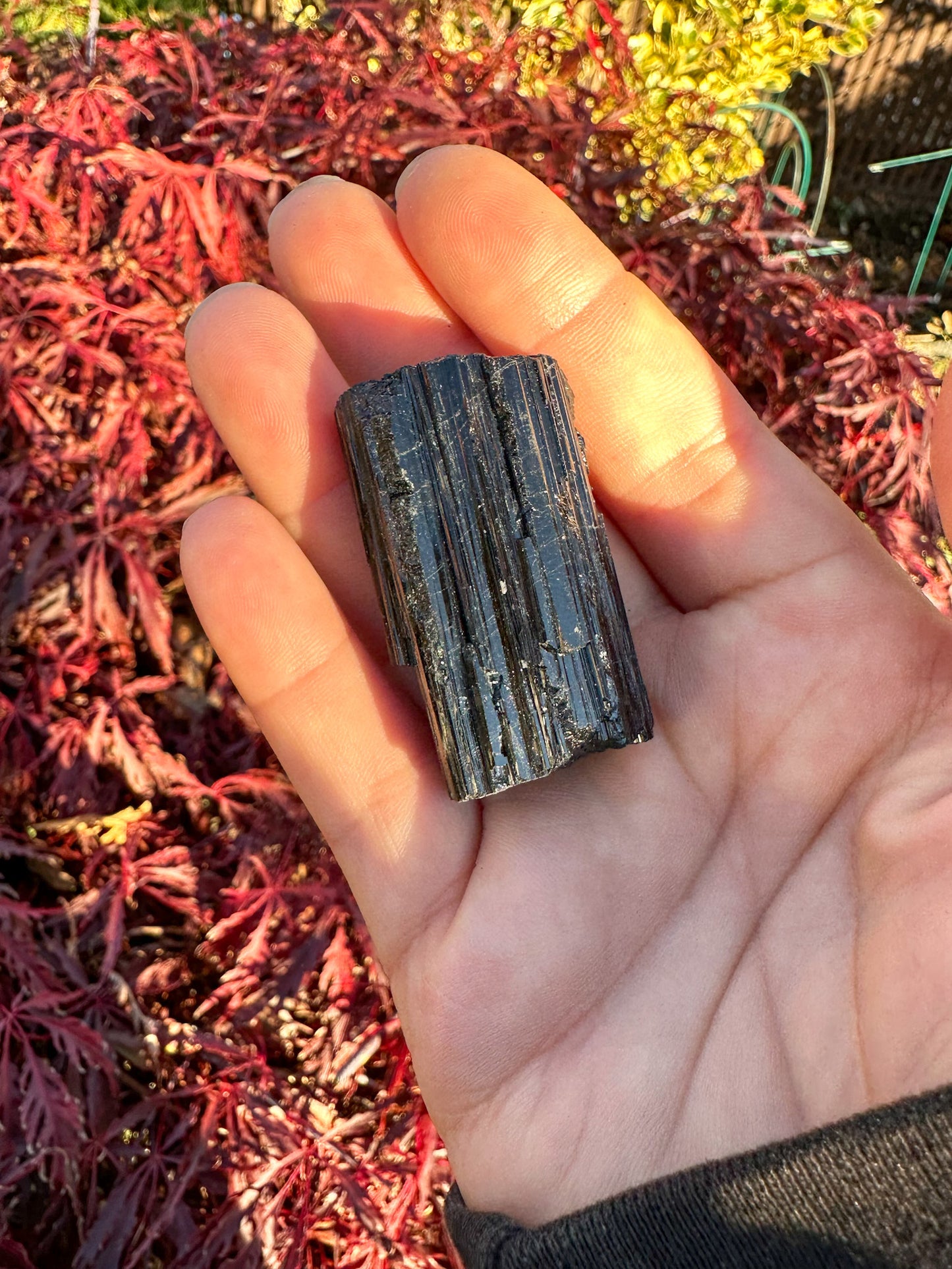 Stunning Raw Black Tourmaline
