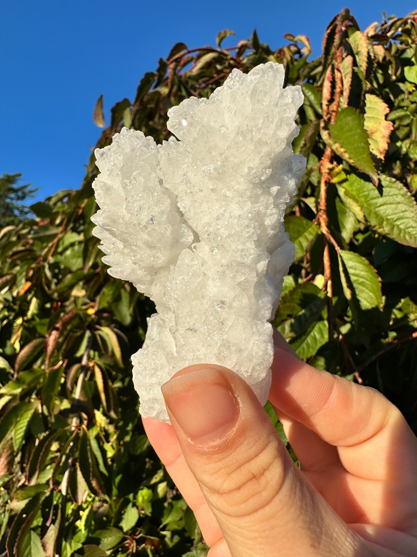 Sparkly White Aragonite Cluster - Raw Specimen
