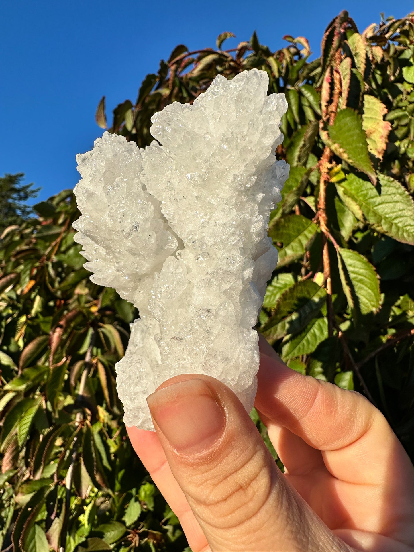 Sparkly White Aragonite Cluster - Raw Specimen