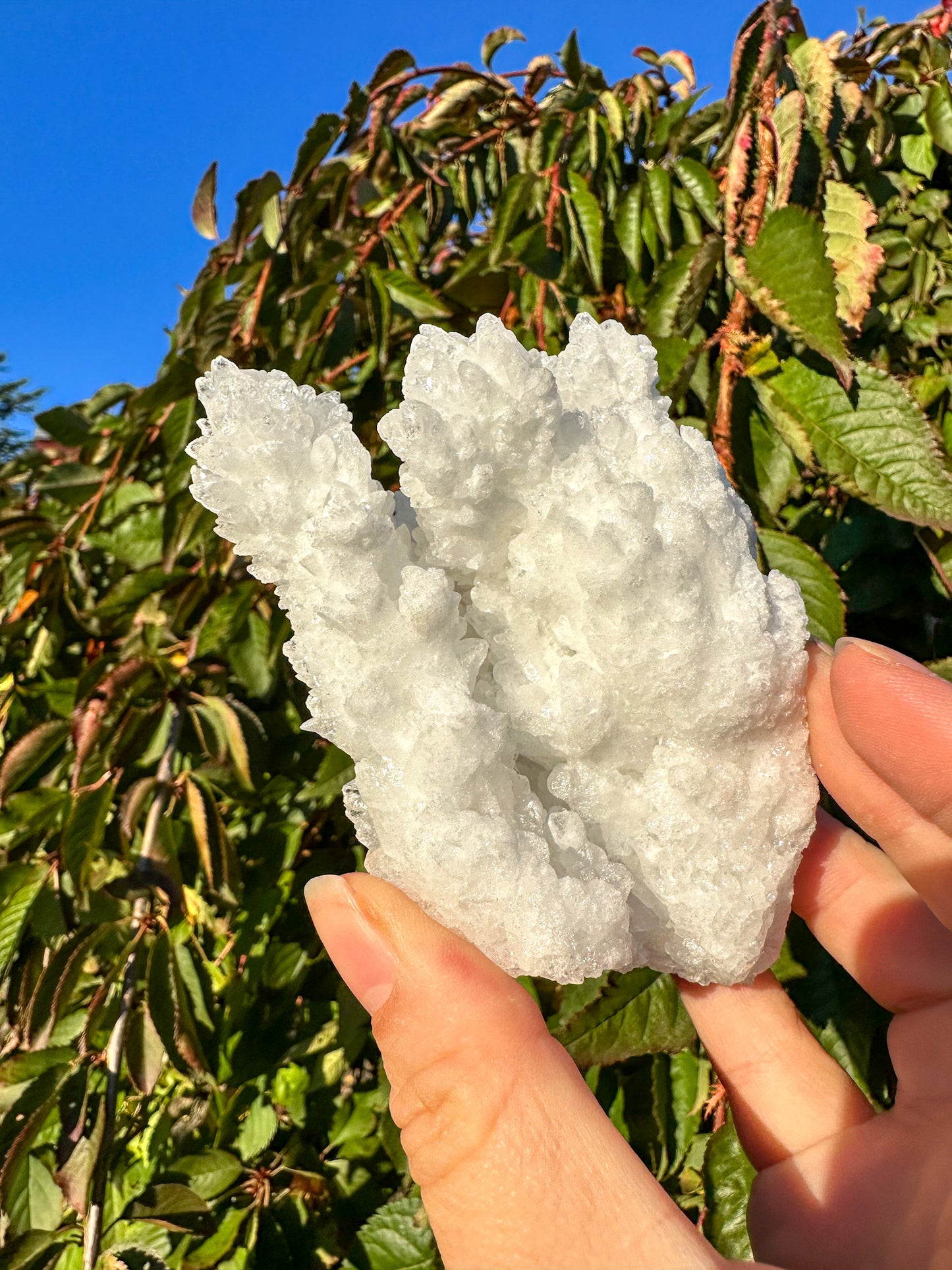 Sparkly White Aragonite Cluster - Raw Specimen