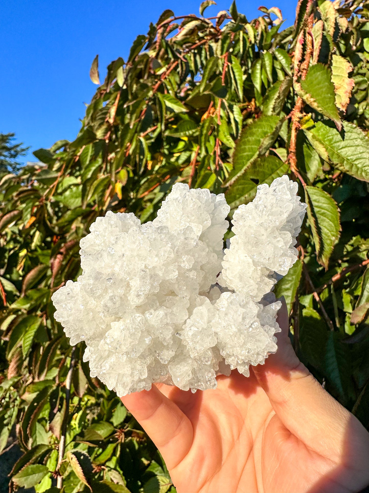 Sparkly White Aragonite Cluster - Raw Specimen