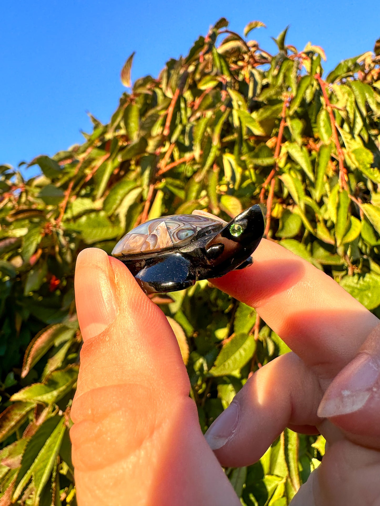 Abalone & Black Obsidian Turtle Carving