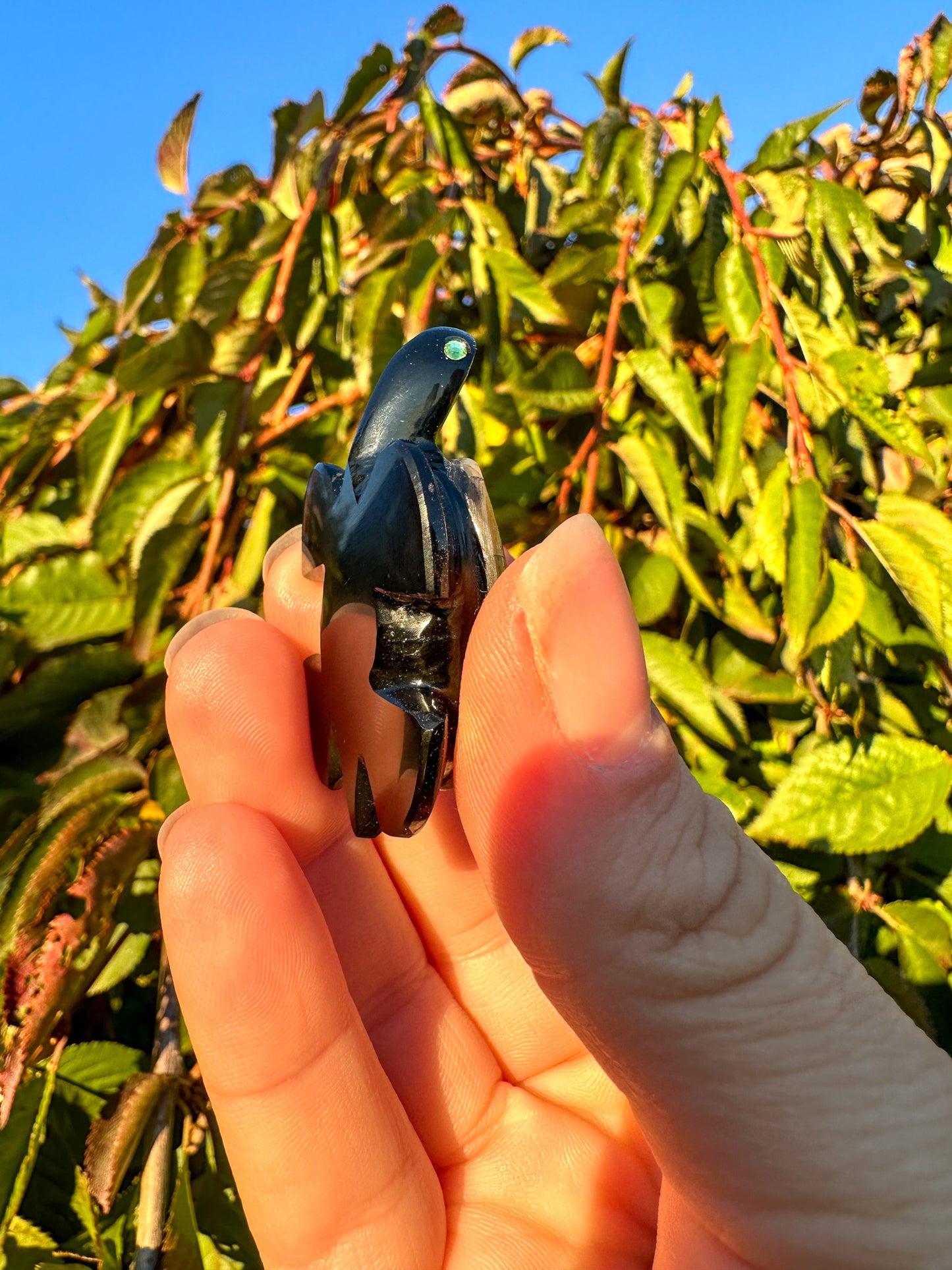 Abalone & Black Obsidian Turtle Carving