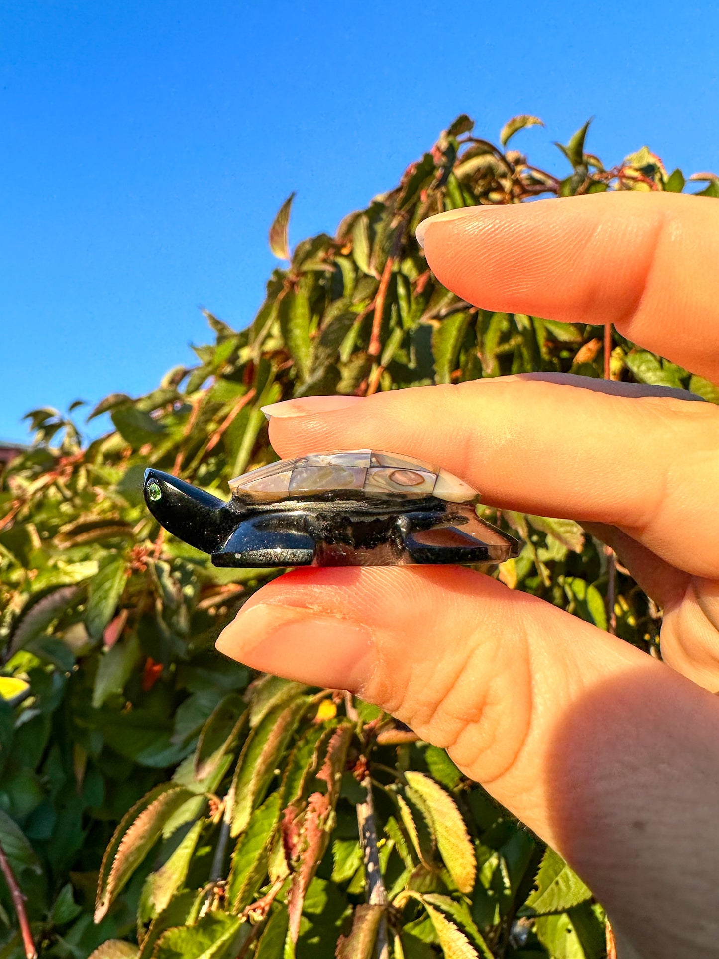 Abalone & Black Obsidian Turtle Carving