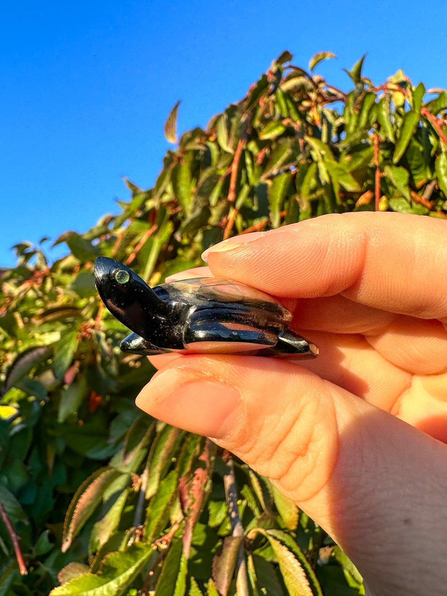 Abalone & Black Obsidian Turtle Carving