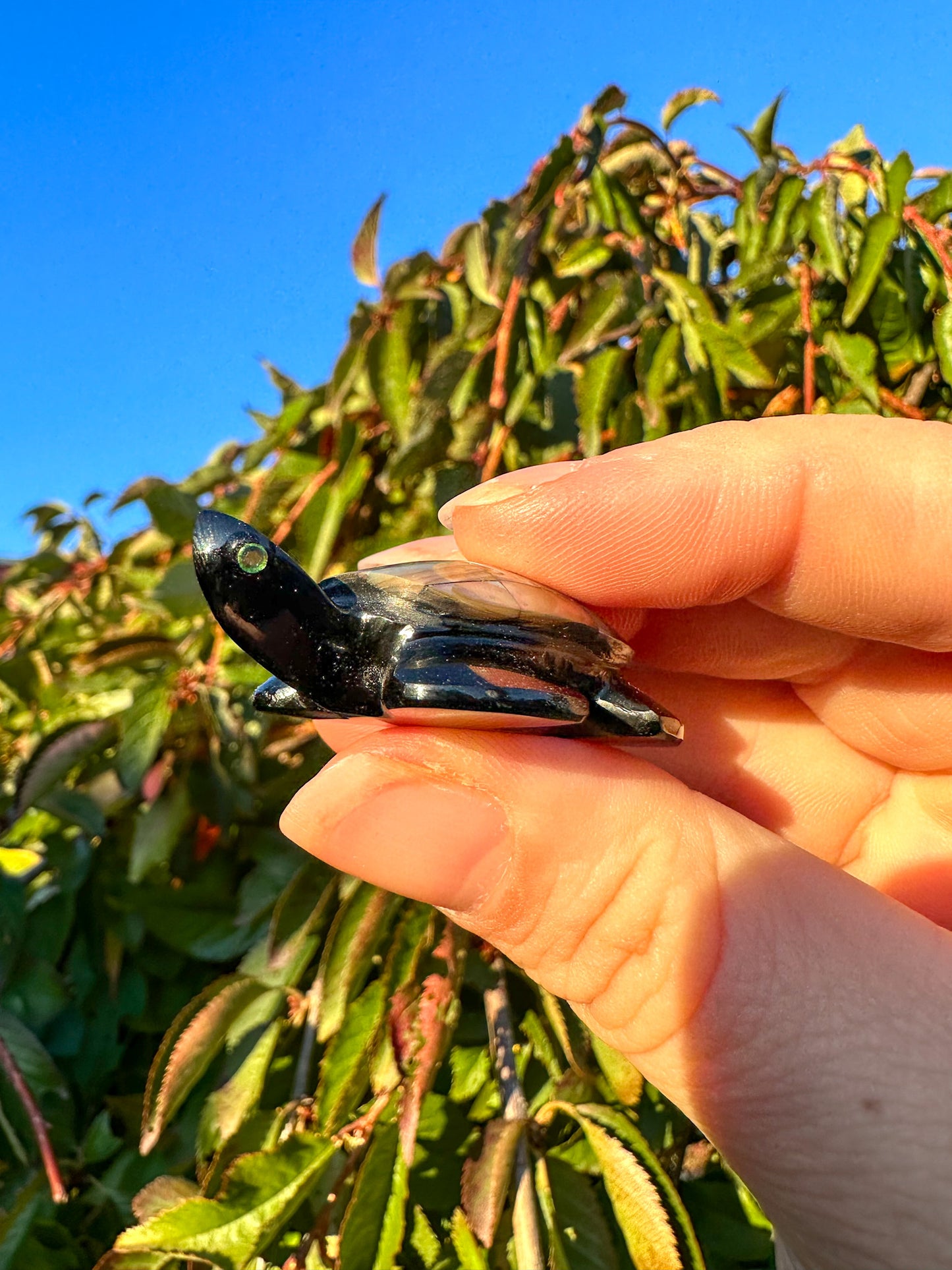 Abalone & Black Obsidian Turtle Carving