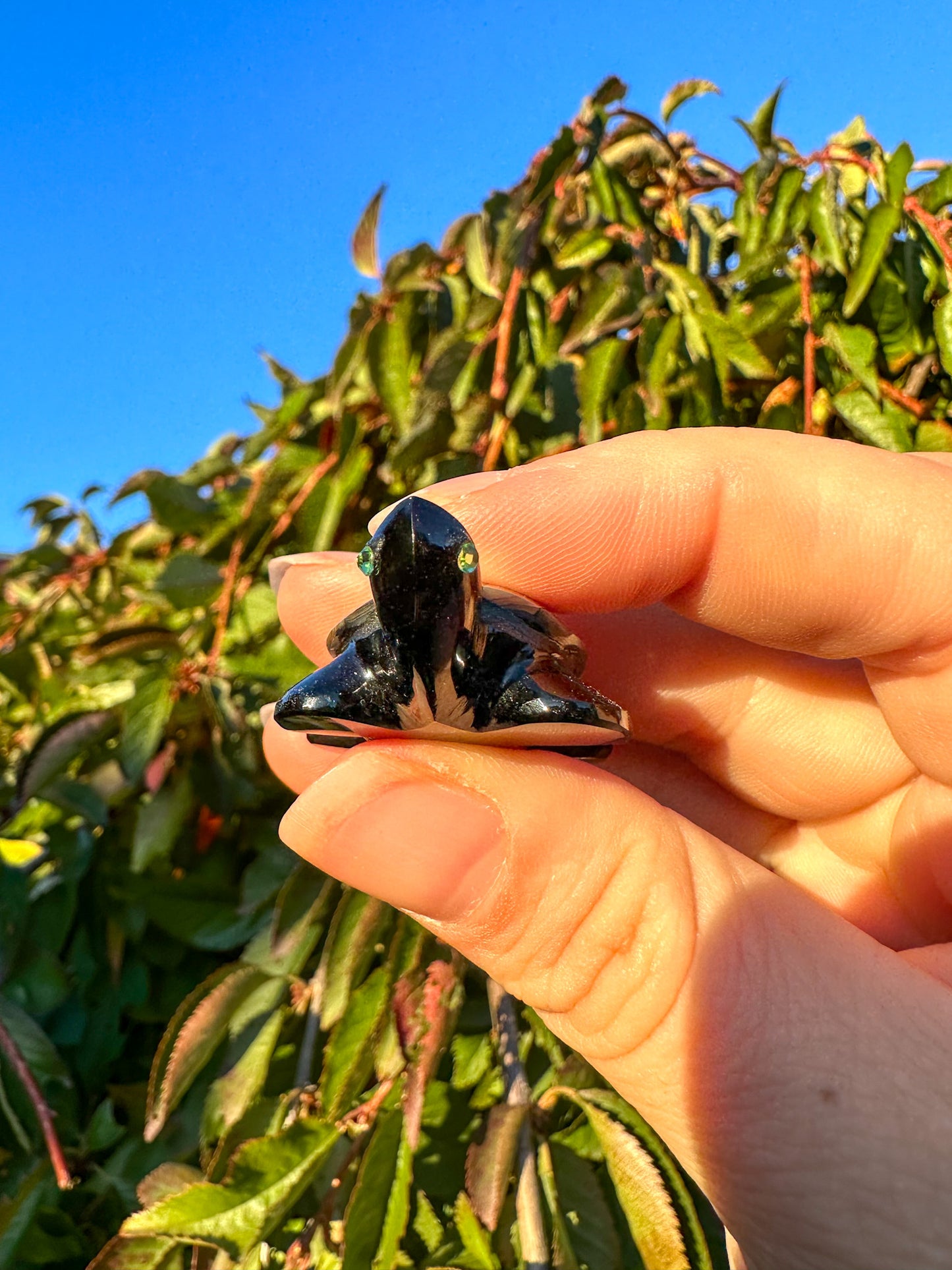 Abalone & Black Obsidian Turtle Carving