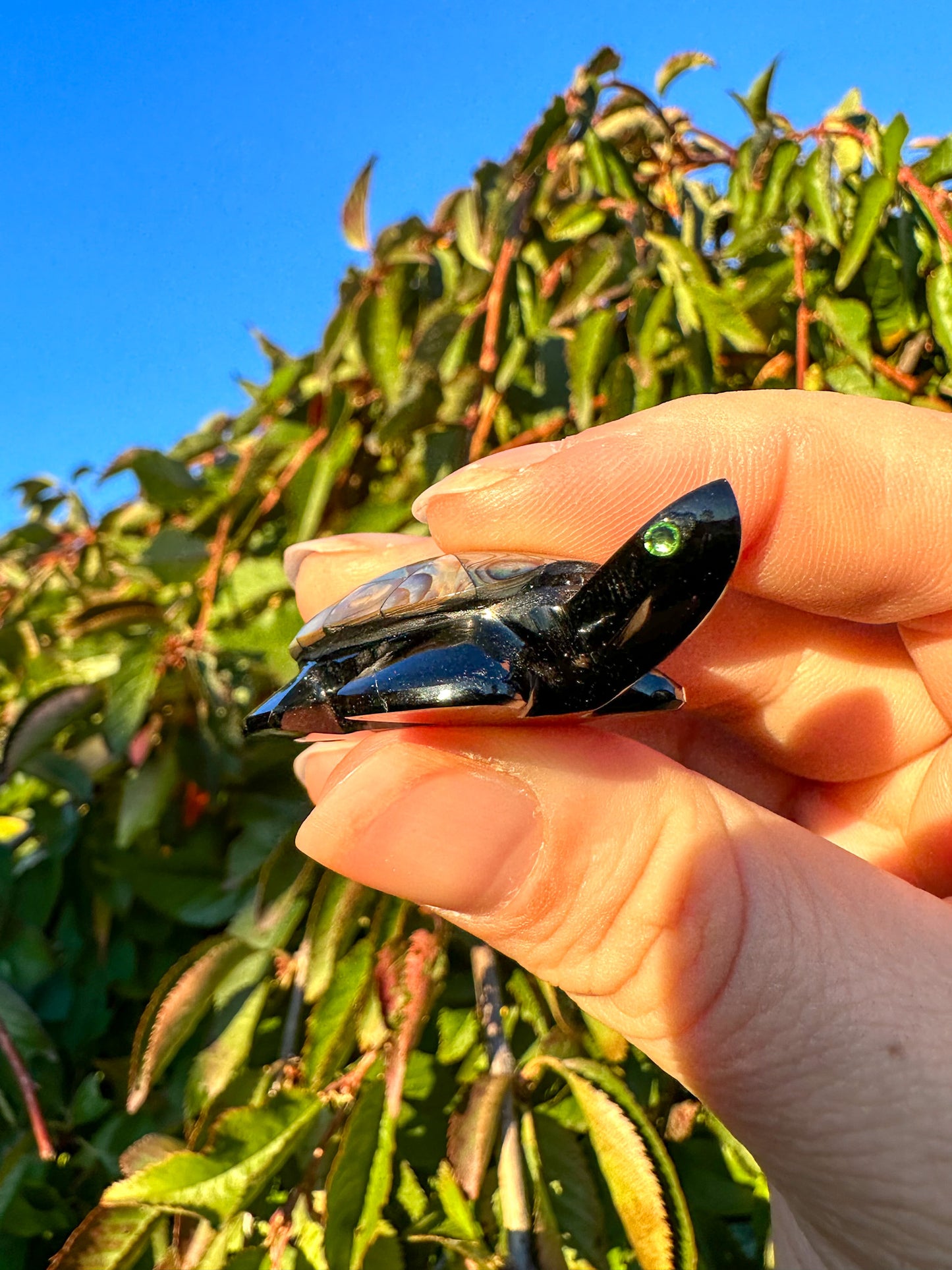 Abalone & Black Obsidian Turtle Carving