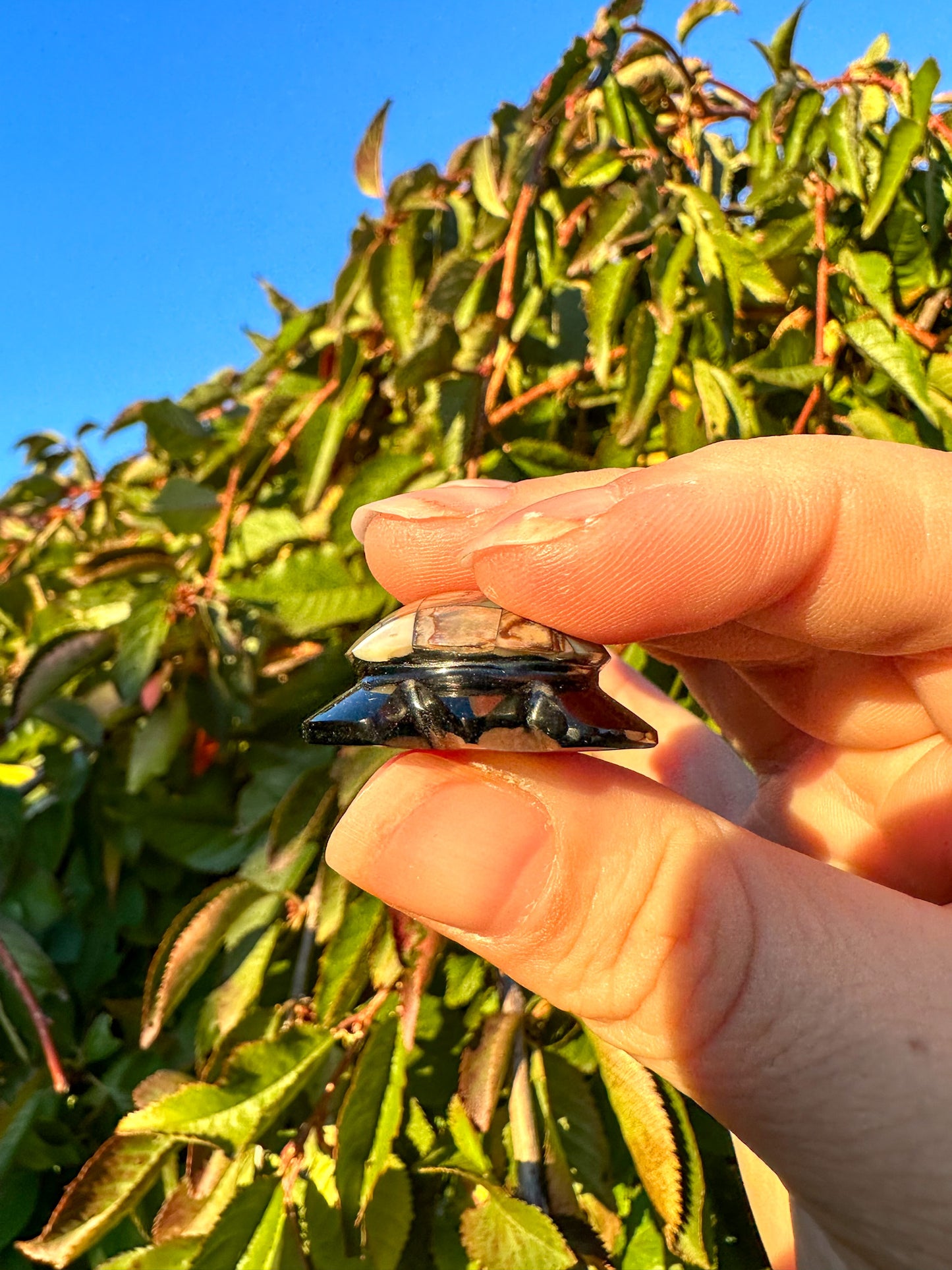 Abalone & Black Obsidian Turtle Carving