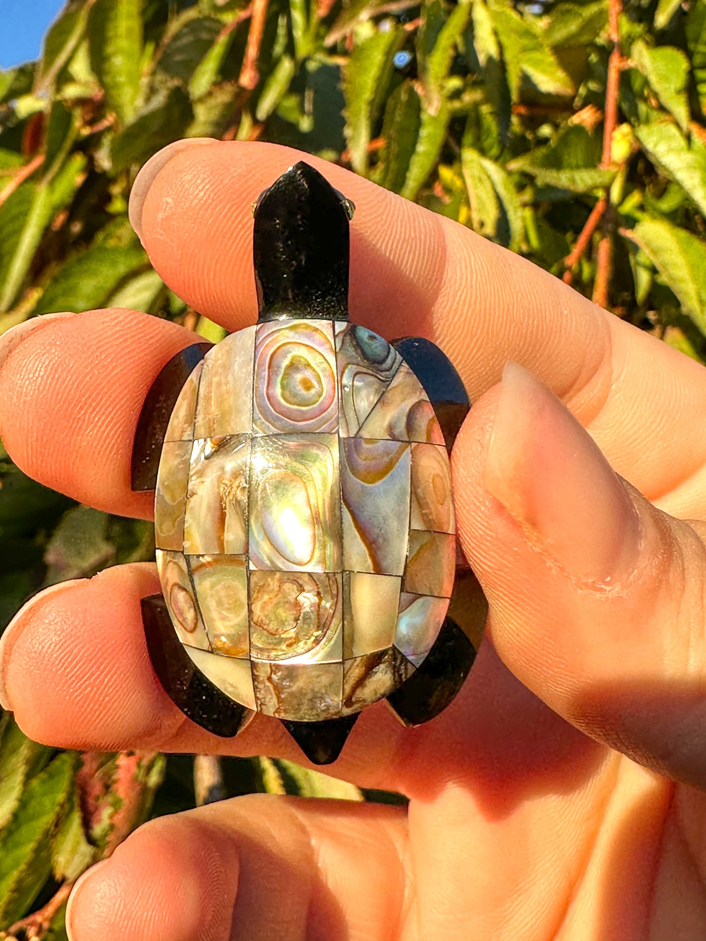 Abalone & Black Obsidian Turtle Carving