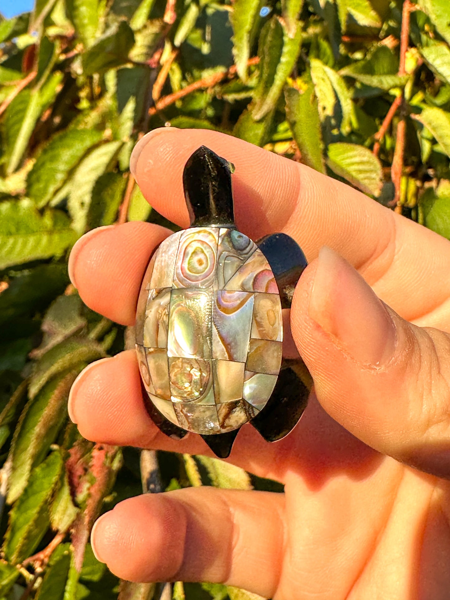 Abalone & Black Obsidian Turtle Carving